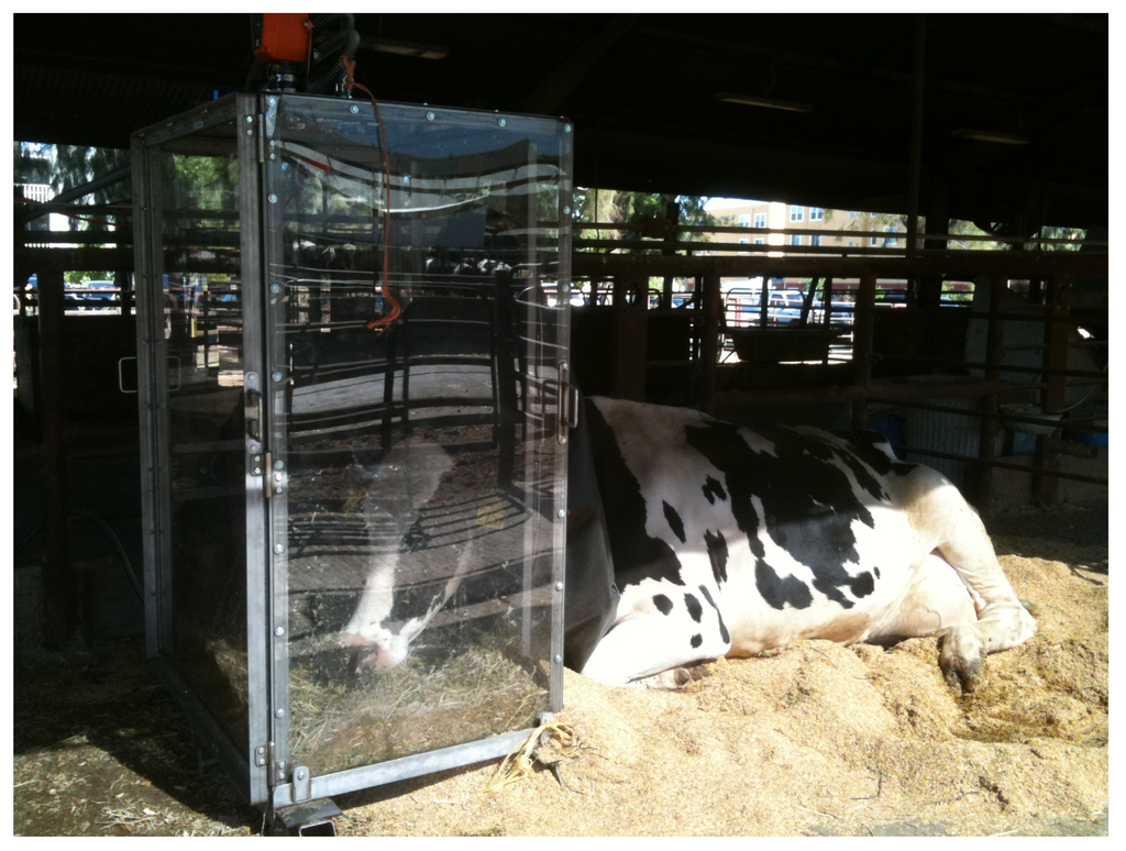 Animals 01 00433f3 1024