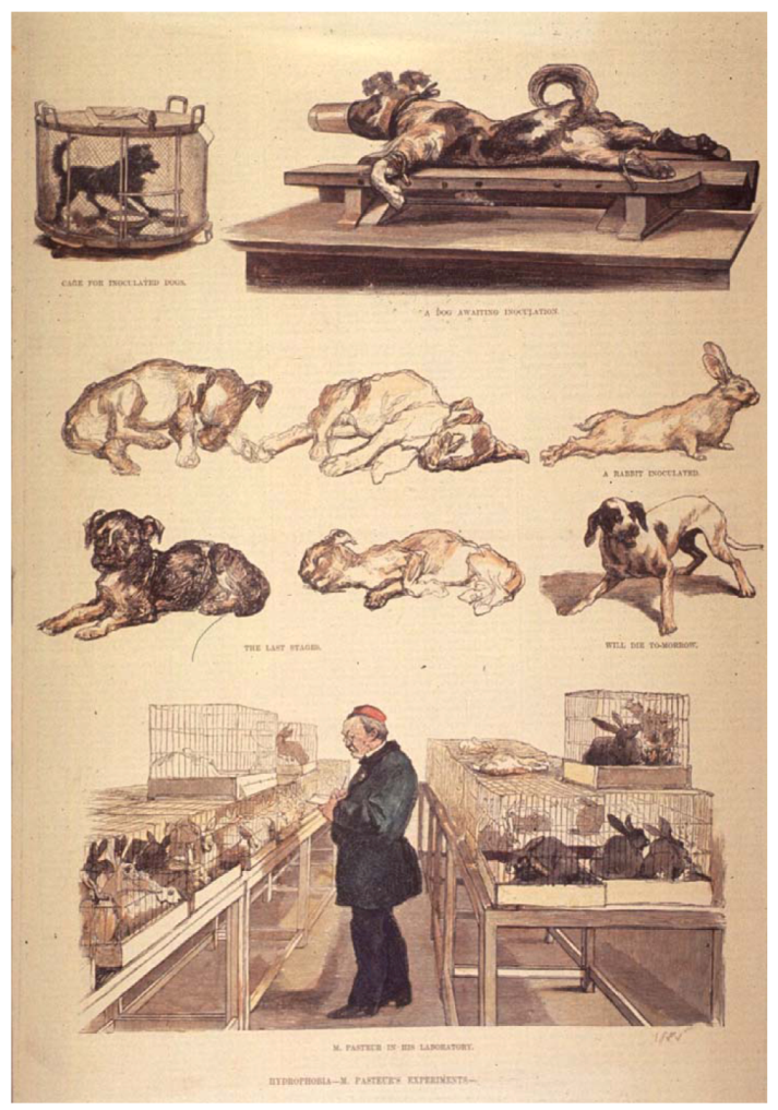Animals | Free Full-Text | Animal Experiments in Biomedical Research: A Historical Perspective Animals | Free Full-Text | Animal Experiments in Biomedical Research: A Historical Perspective