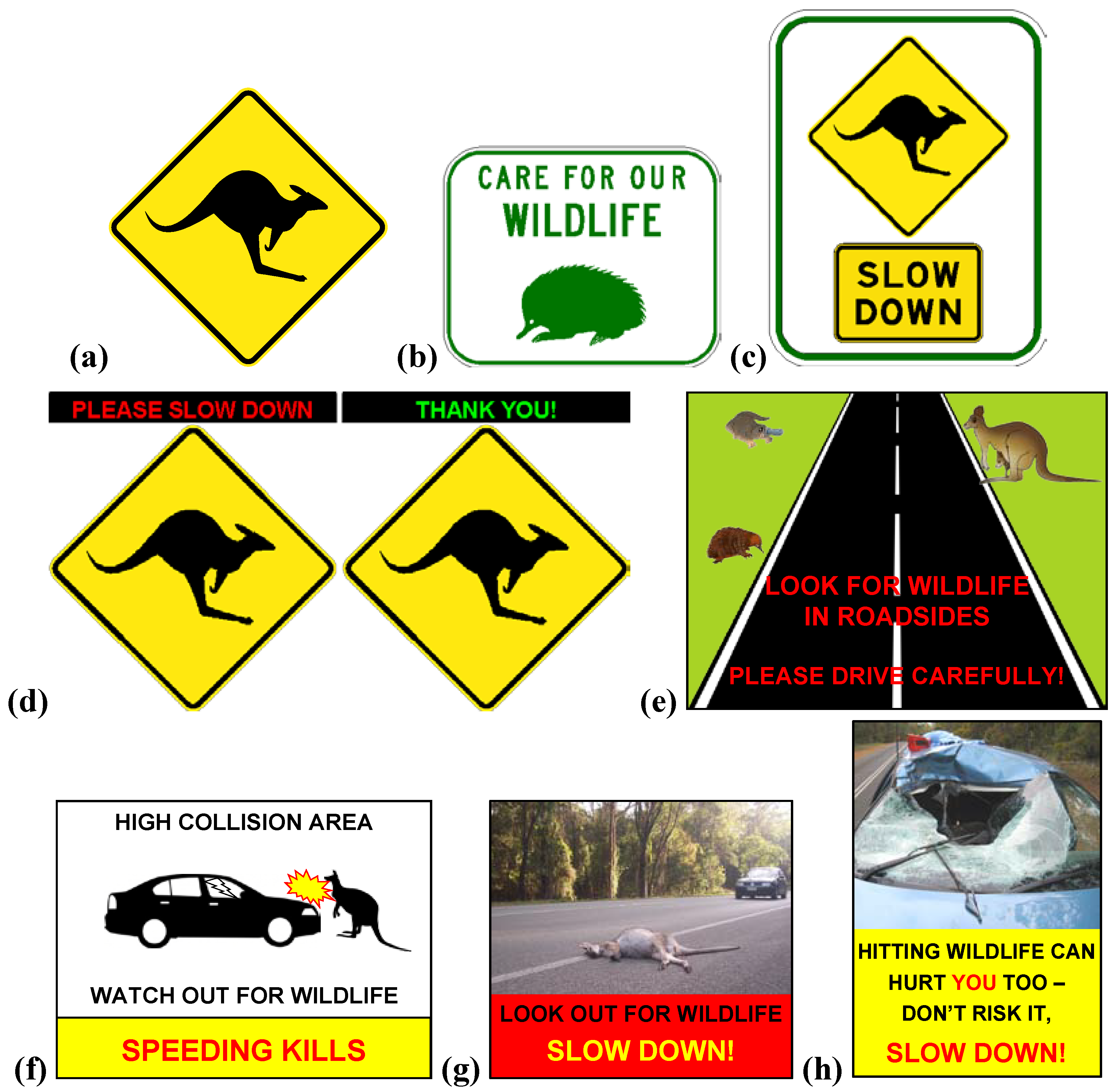 Animals | Free Full-Text | Wildlife Warning Signs: Public Assessment of  Components, Placement and Designs to Optimise Driver Response