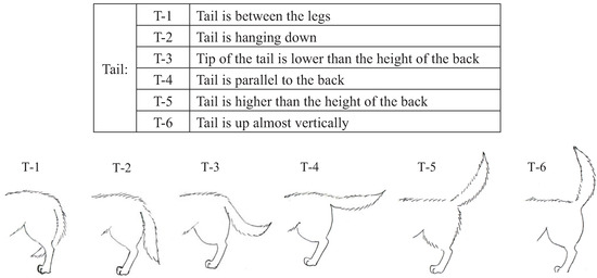 Animals 04 00045 g004 550