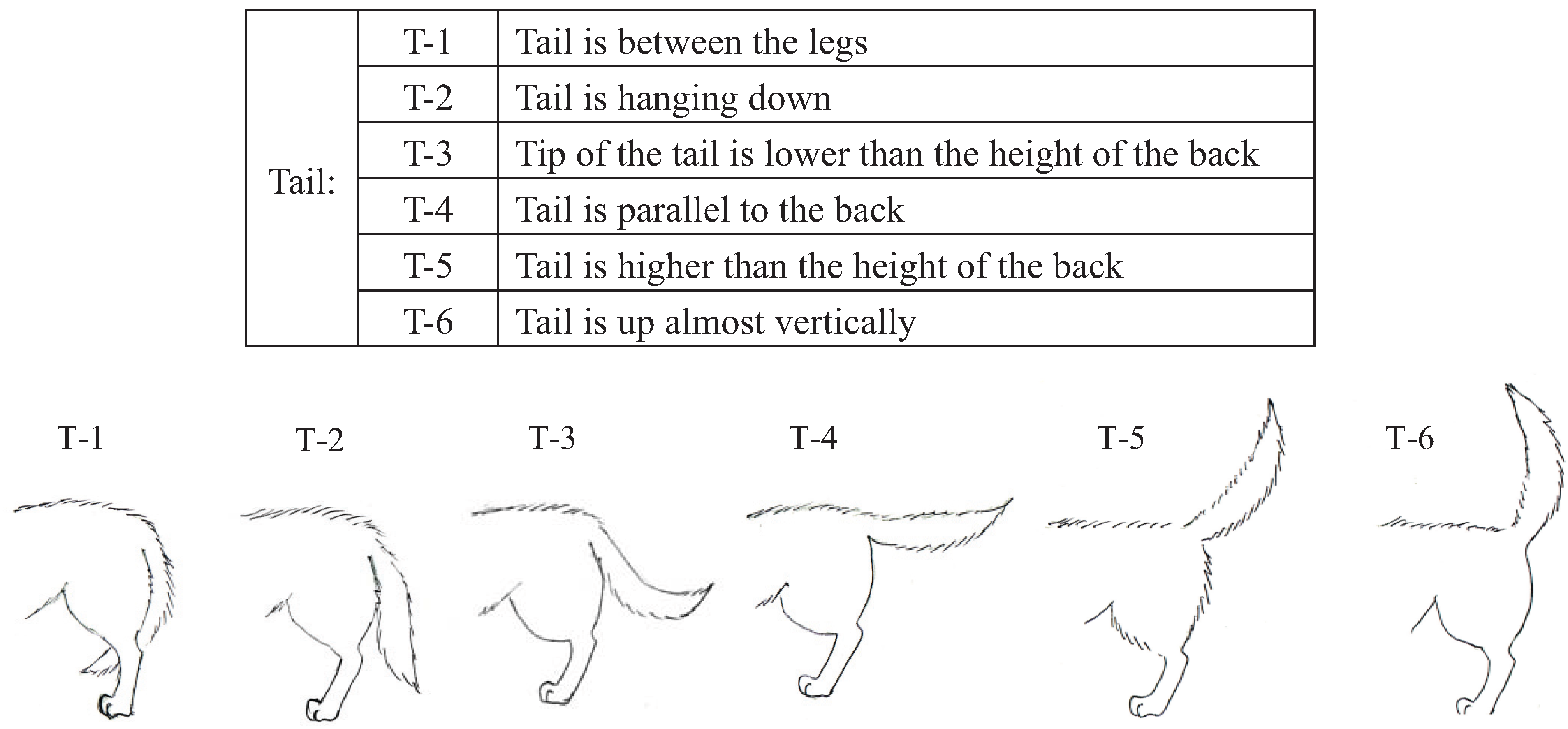 Dog Meaning Chart