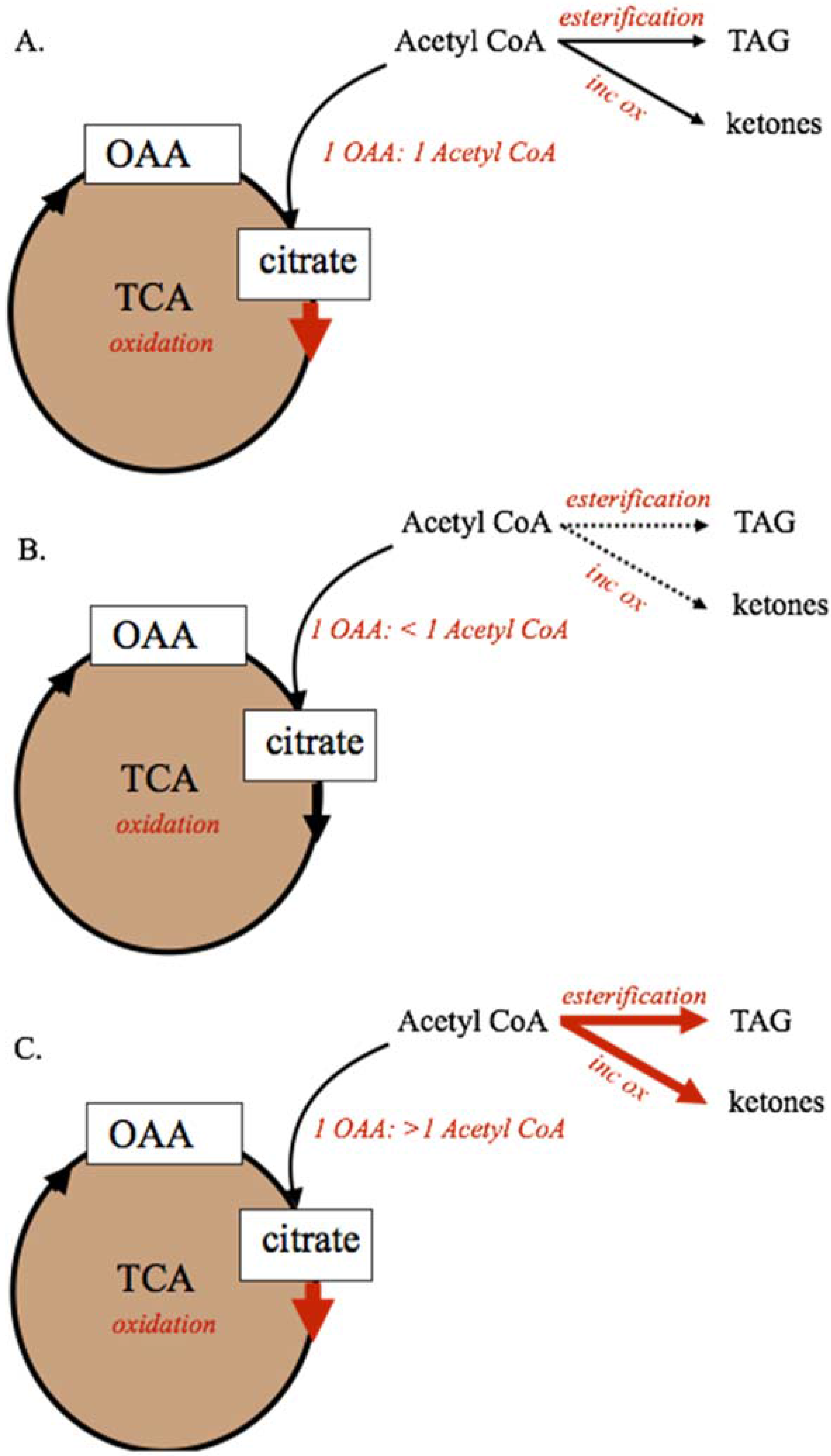 Animals 05 00384 g002