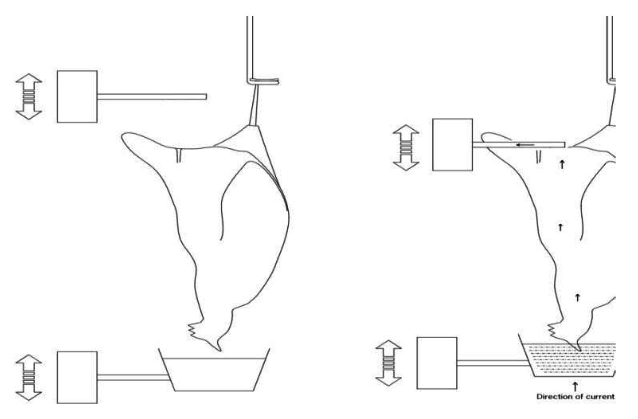 Animals 05 00407 g005