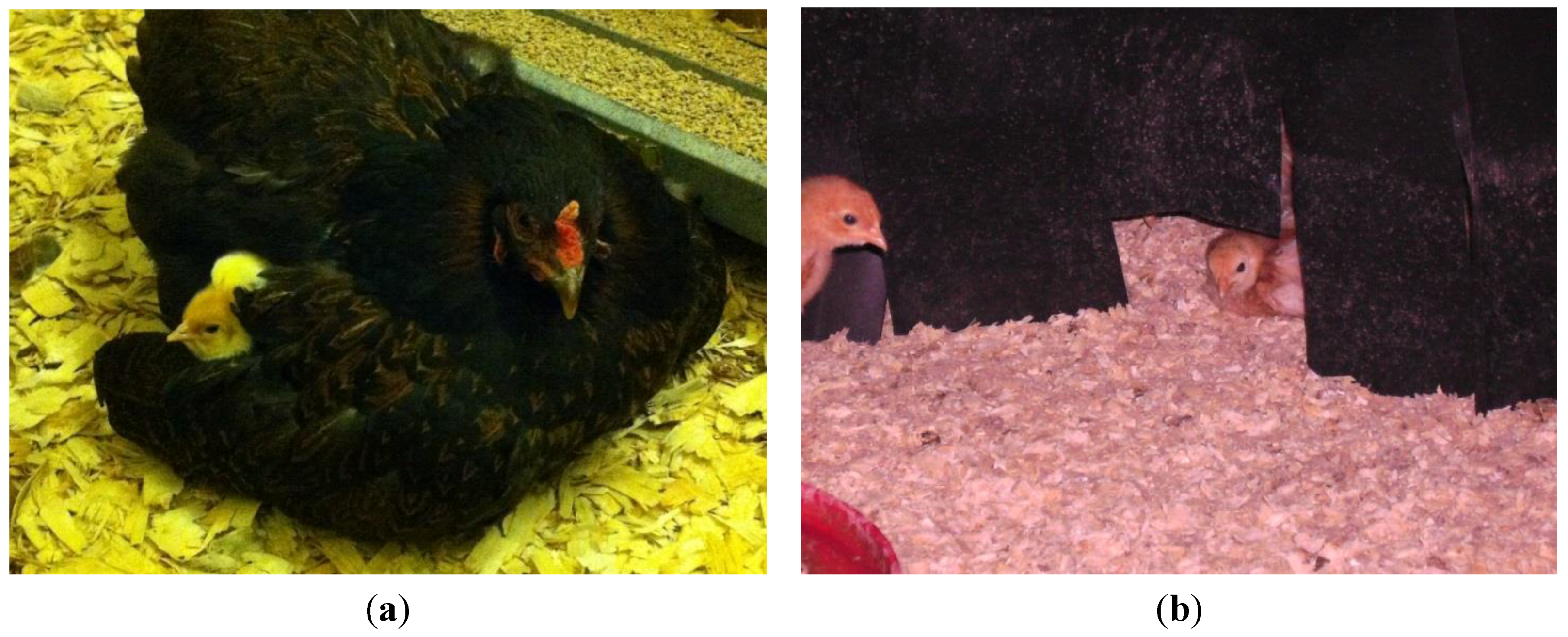 Animals 06 00002 g001 1024