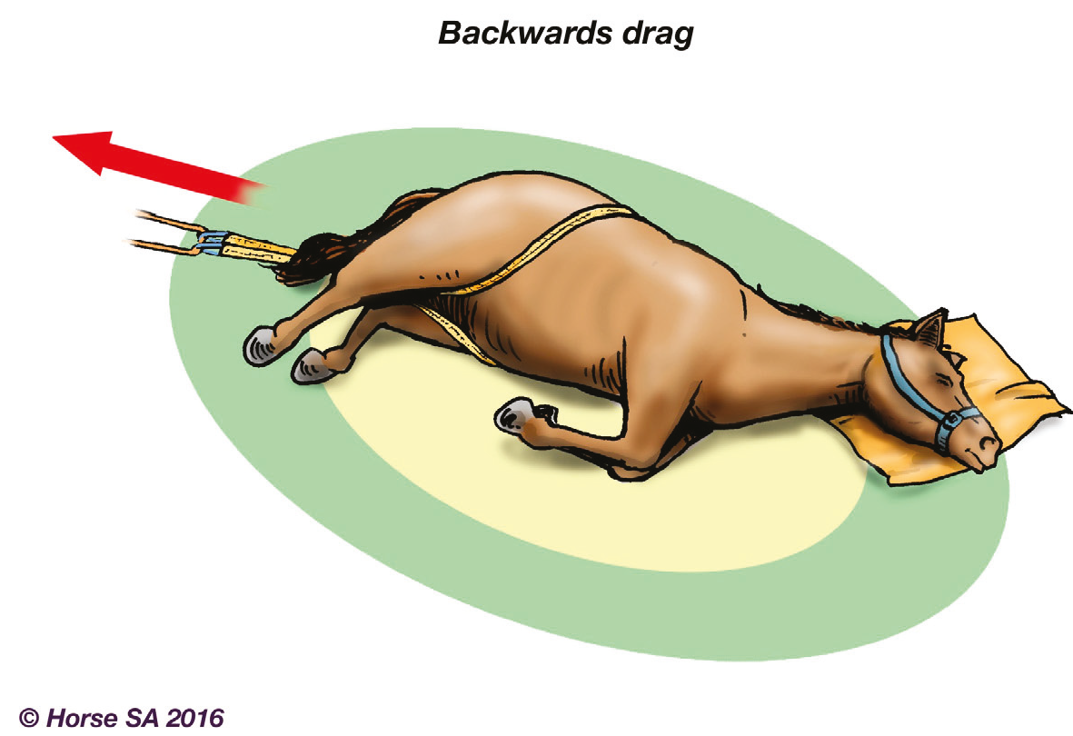 Animals 06 00016 g003