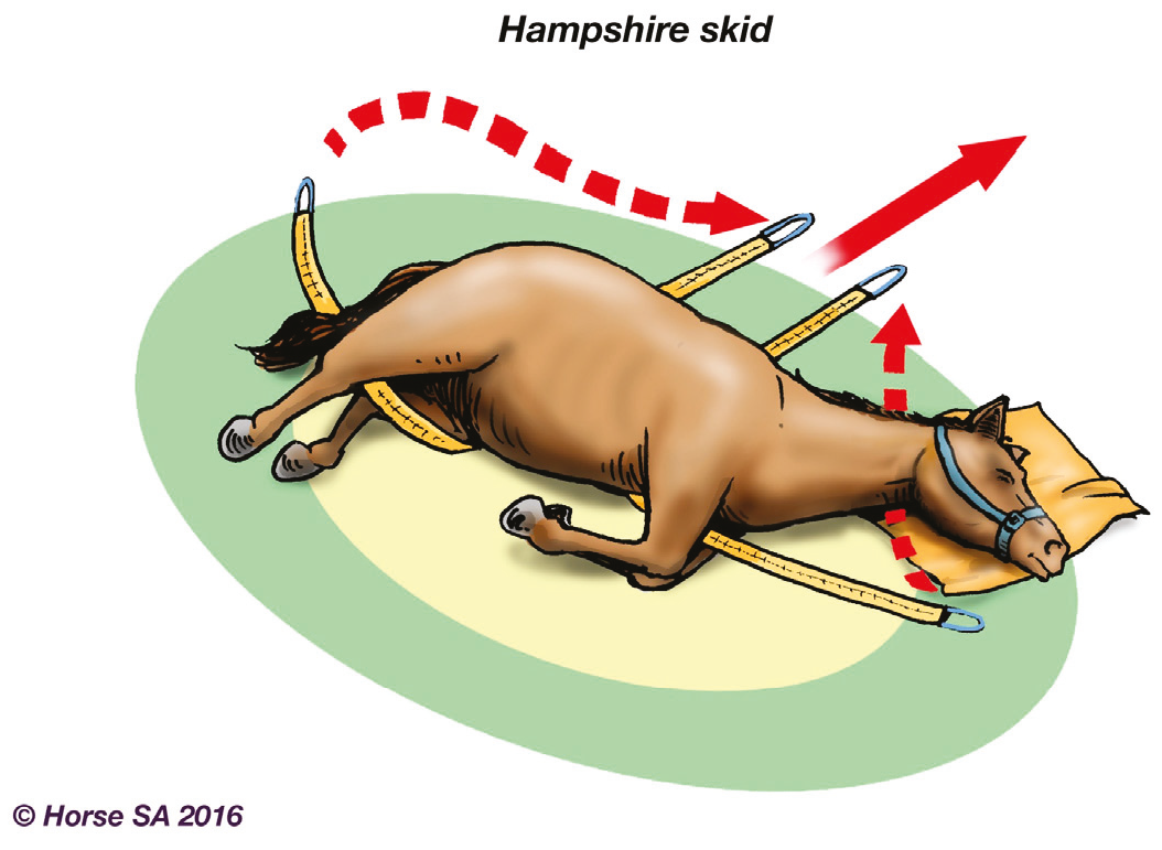 Animals 06 00016 g005