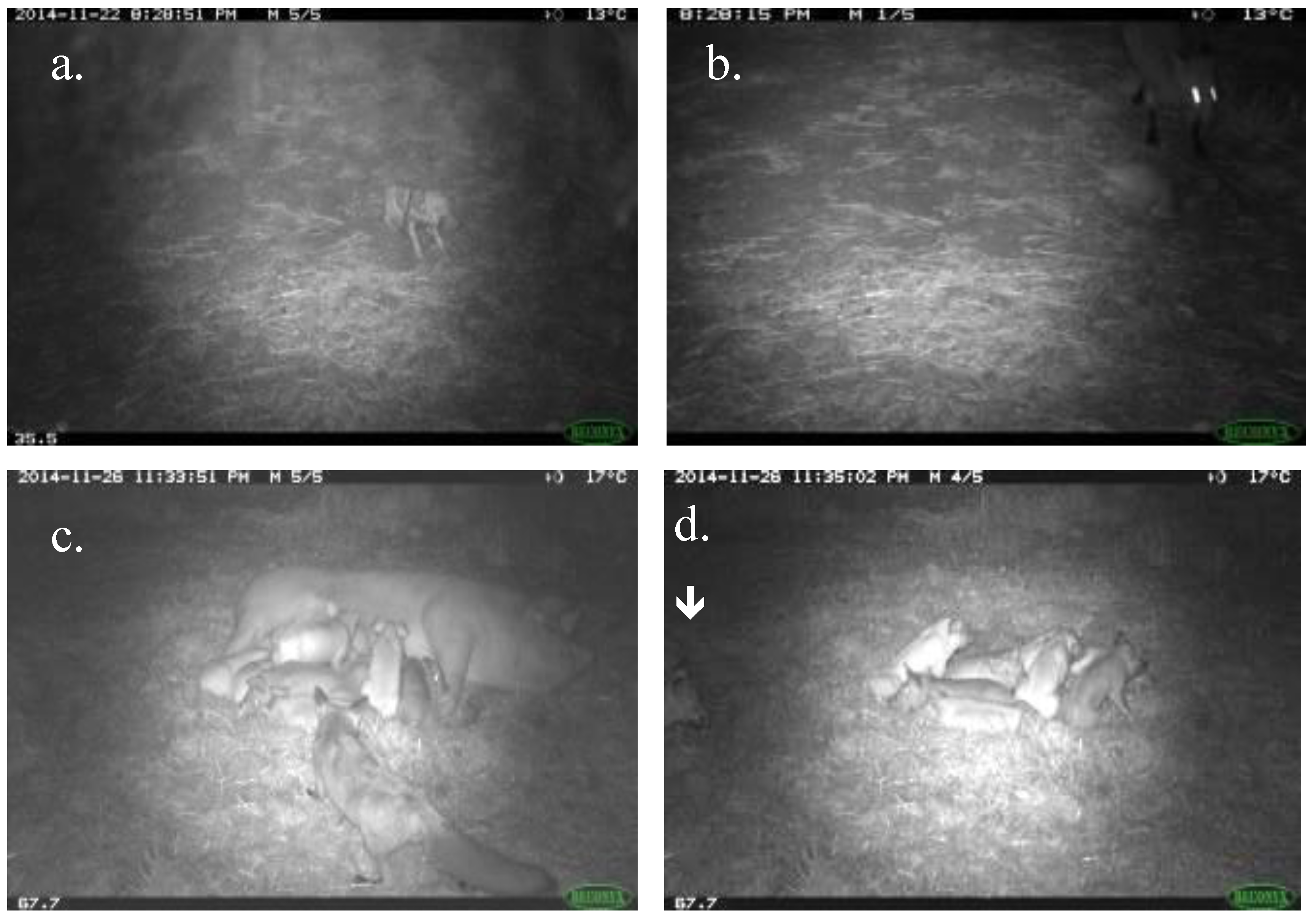 Animals 06 00060 g003