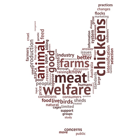 Animals Free Full Text Online Chats To Assess Stakeholder Perceptions Of Meat Chicken Intensification And Welfare Animals Free Full Text Online Chats To Assess Stakeholder Perceptions Of Meat Chicken Intensification And Welfare