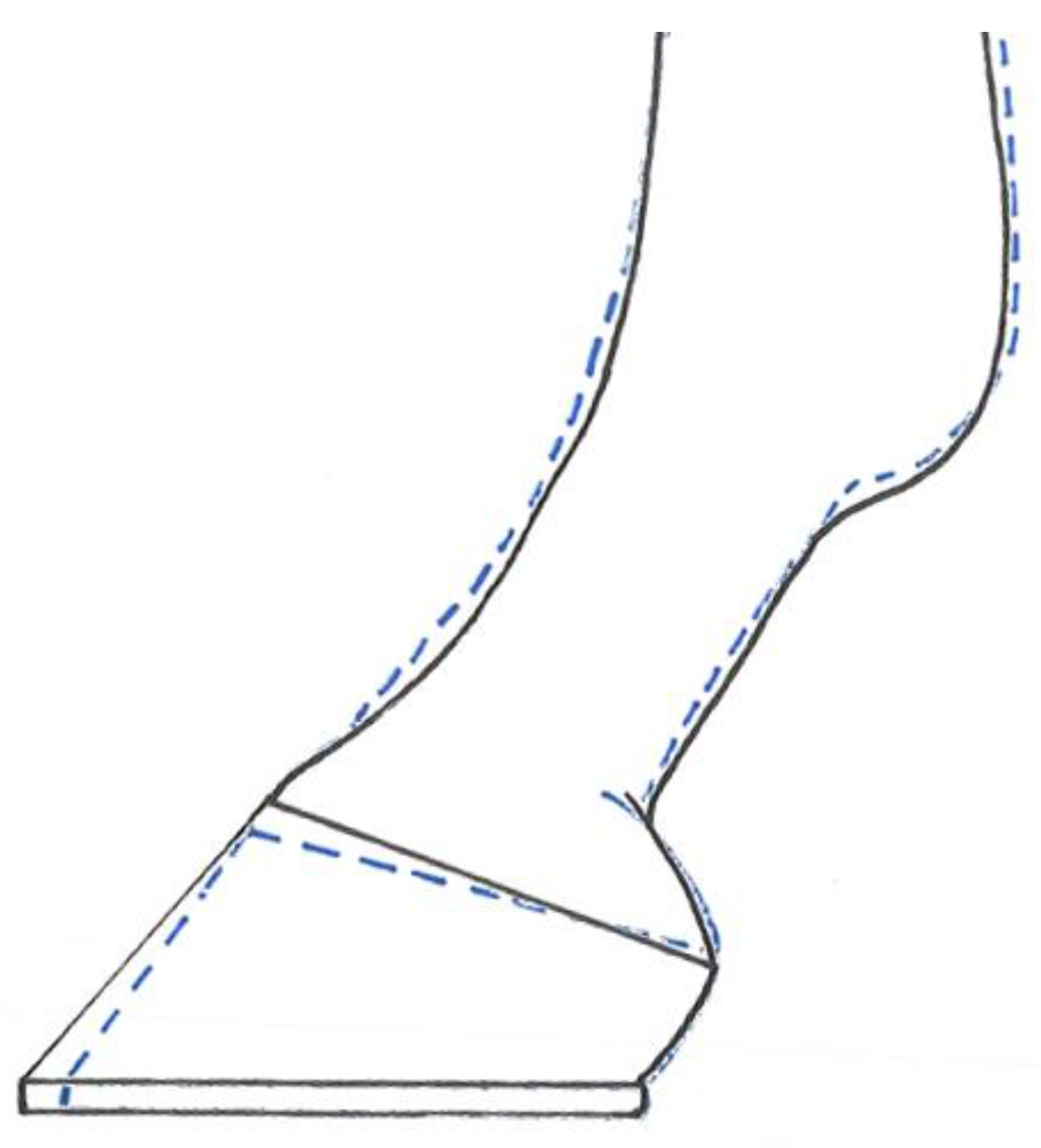 Animals Free Full Text Does A 4 6 Week Shoeing Interval Promote Optimal Foot Balance In The Working Equine Html
