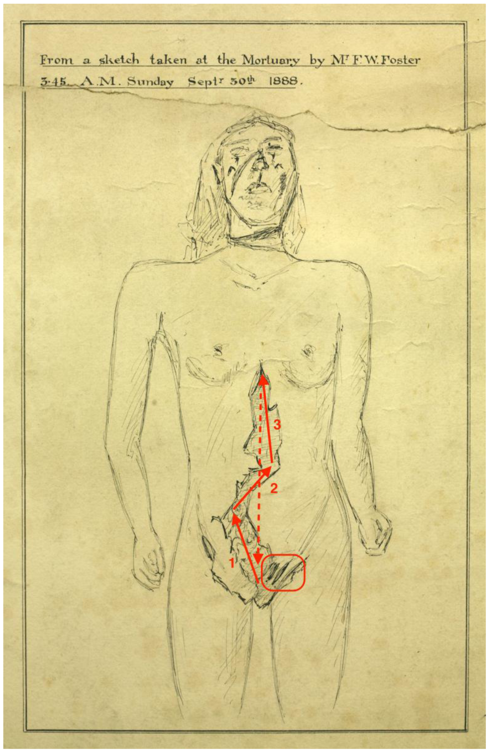 Animals 07 00030 g001 550