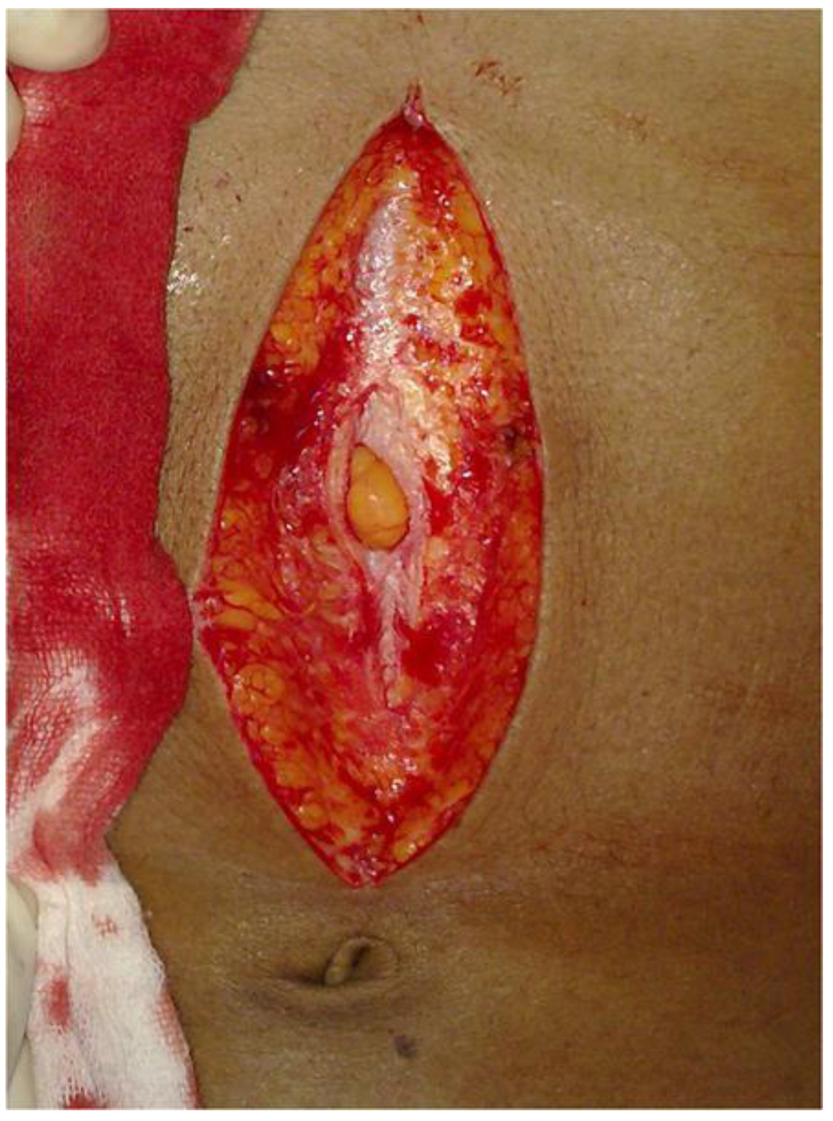 Animals 07 00030 g002 550