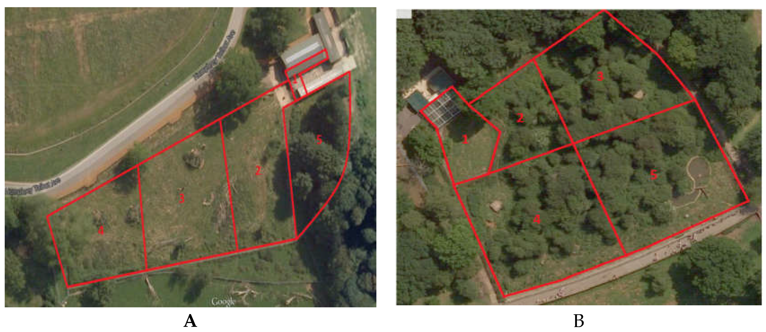 Animals 07 00039 g001