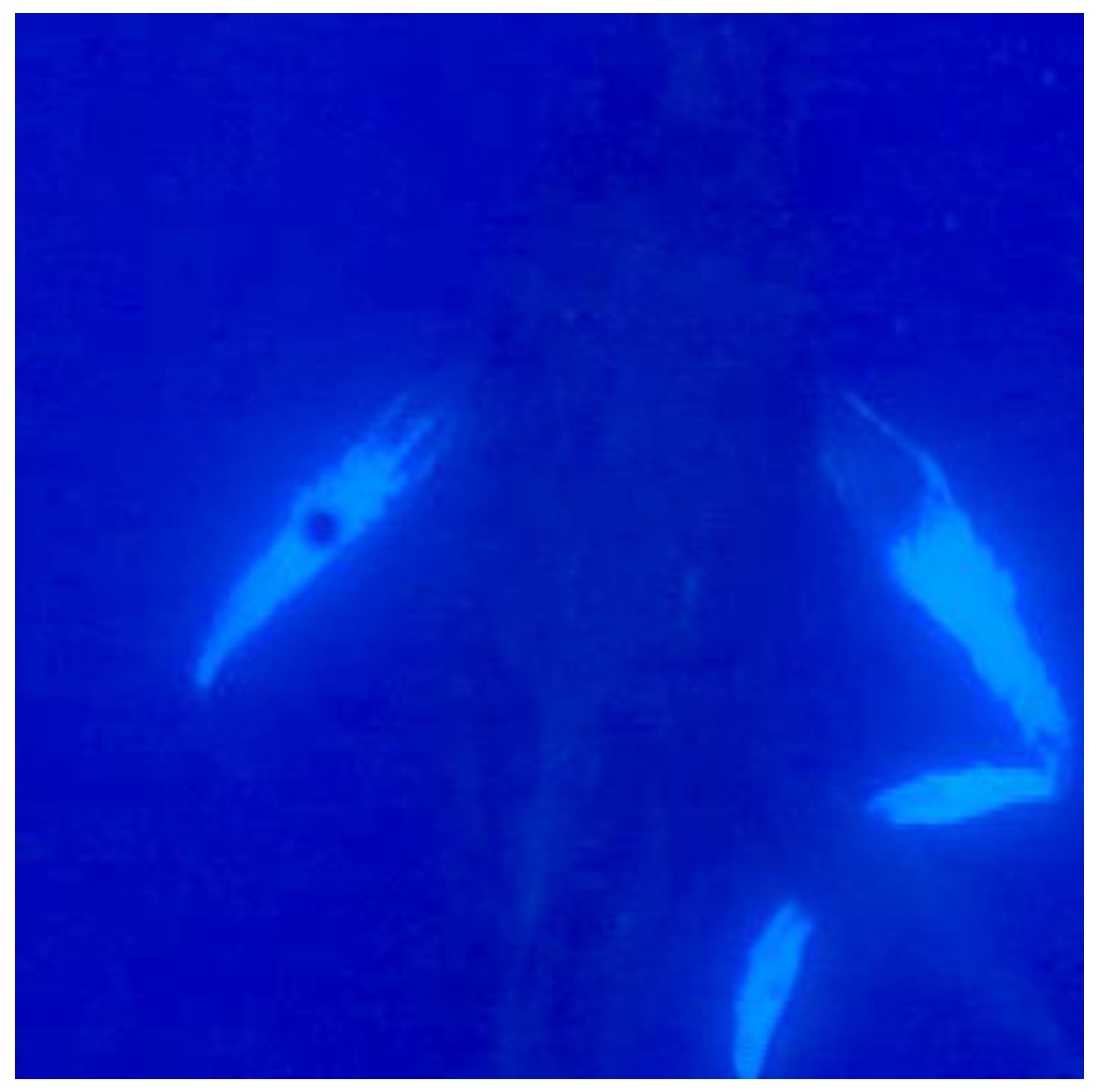Animals | Free Full-Text | A Note on Suckling Behavior and Laterality in Nursing Humpback Whale Calves from Underwater Observations Animals | Free Full-Text | A Note on Suckling Behavior and Laterality in Nursing Humpback Whale Calves from Underwater Observations
