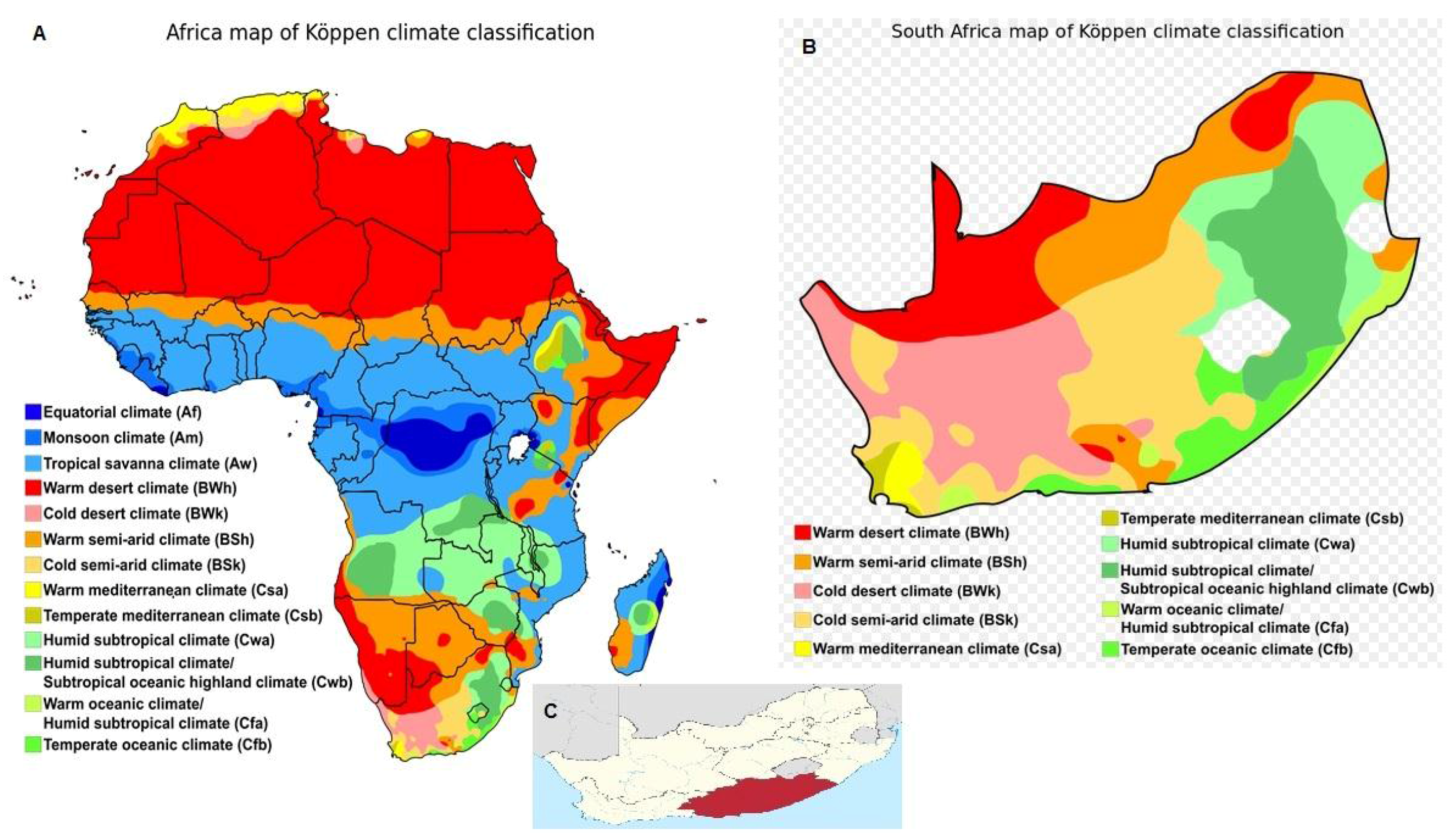 Animals 07 00080 g001