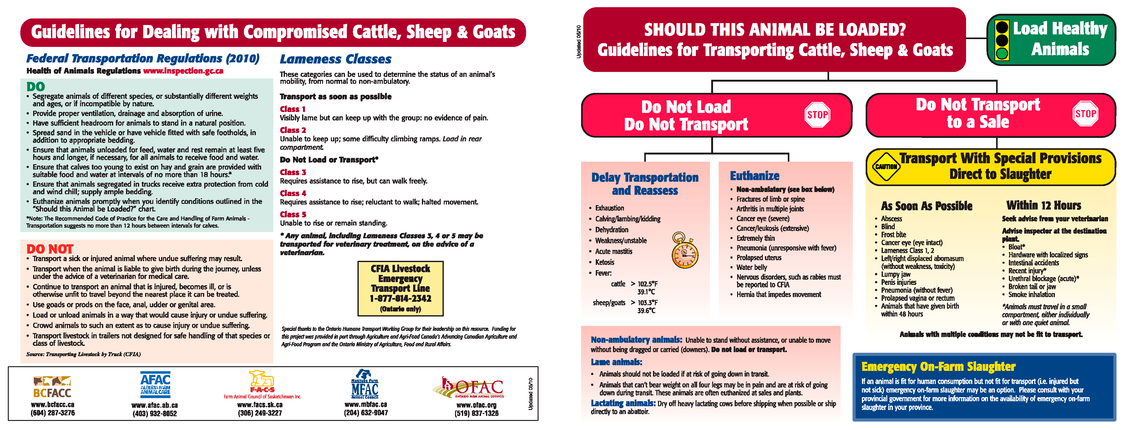veterinary technician code of ethics