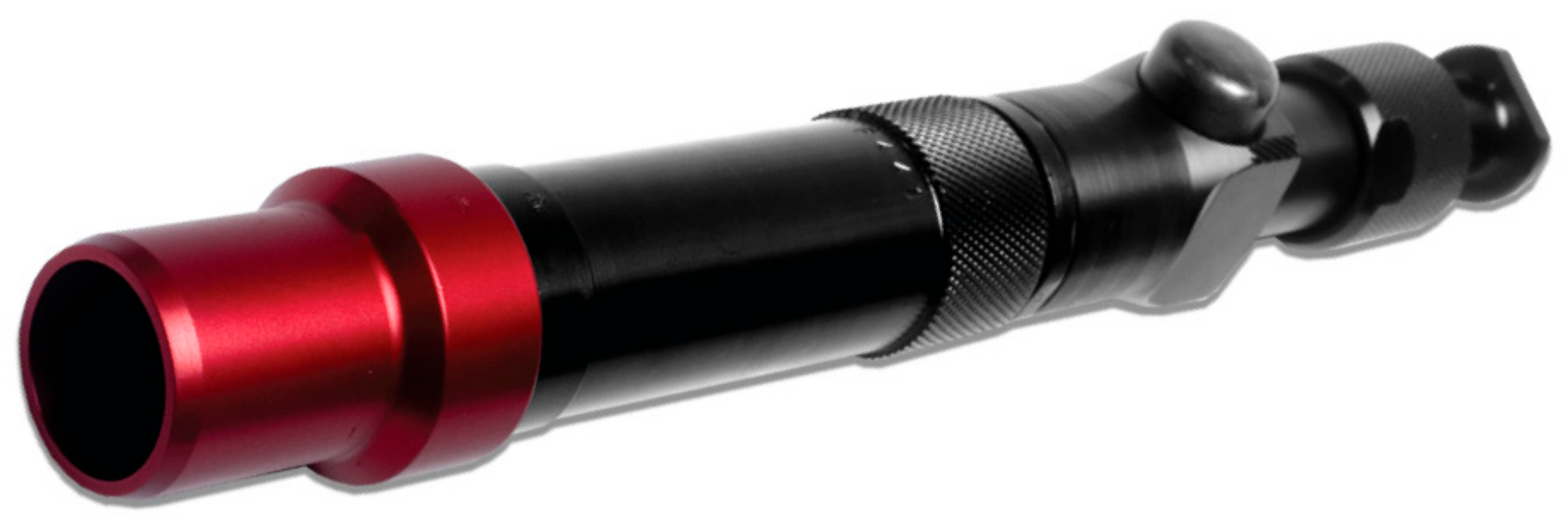 Animals Free FullText The Use of a Captive Bolt