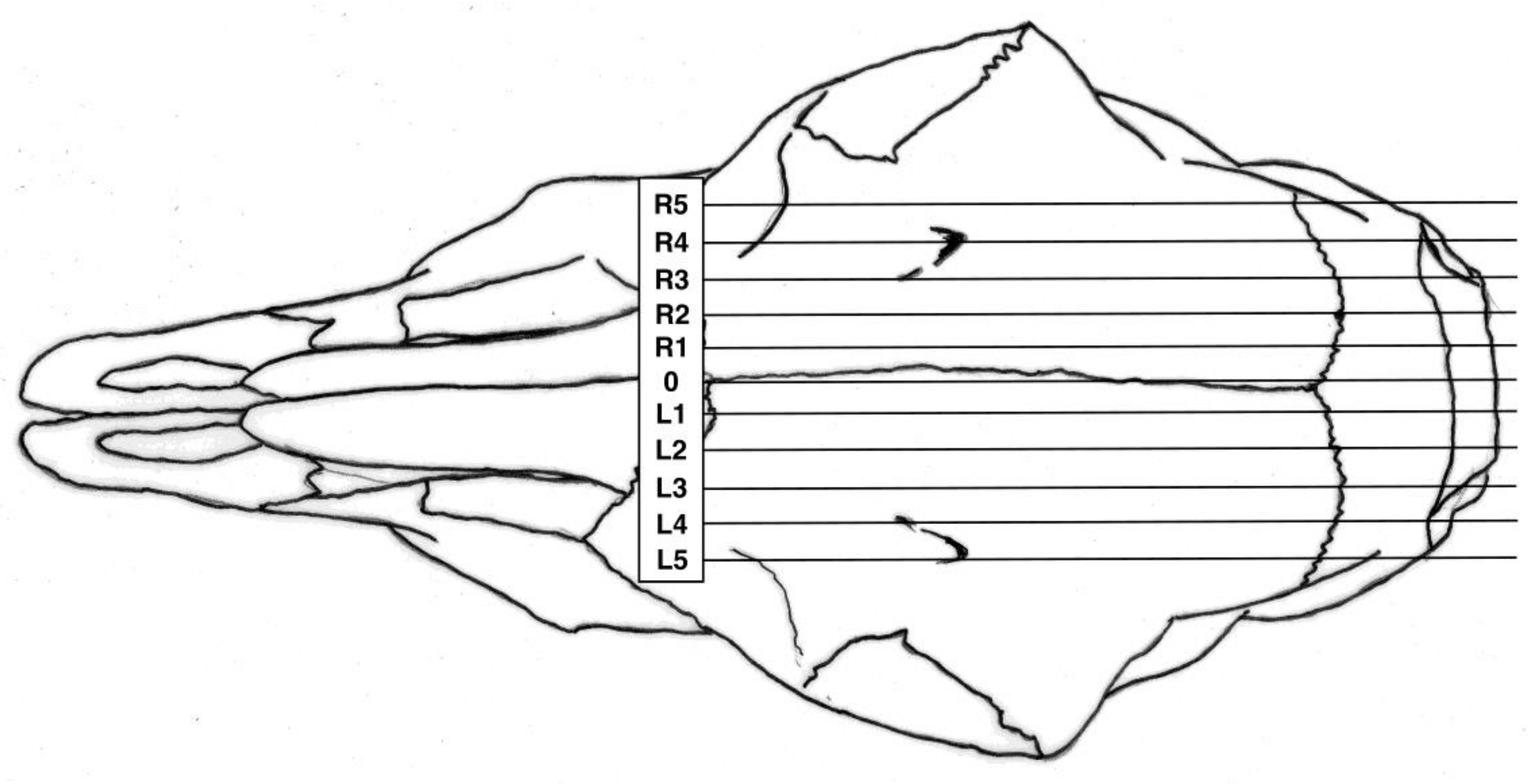 Animals 08 00049 g002 550