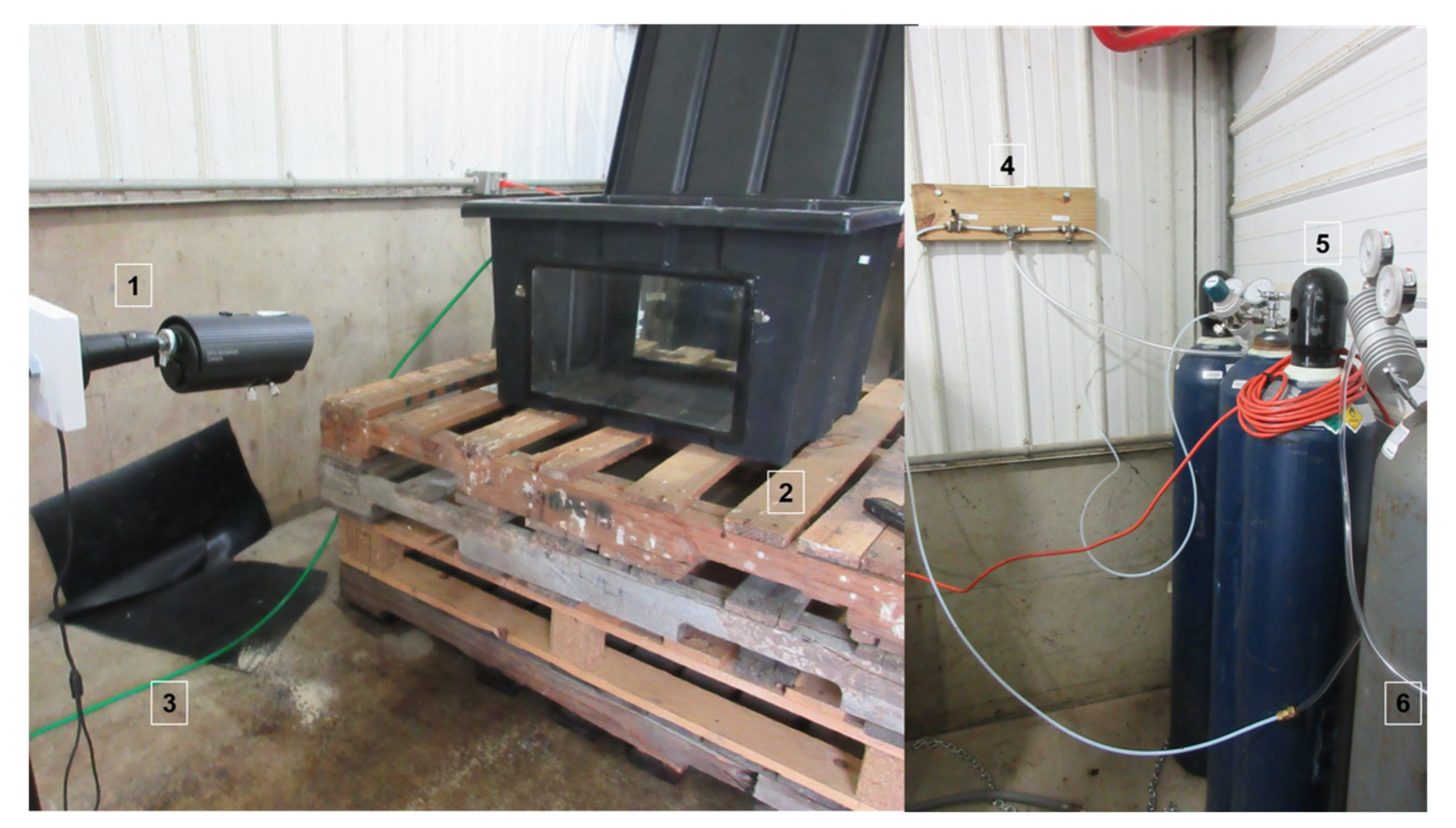 Animals 08 00052 g002 Animals 08 00052 g002