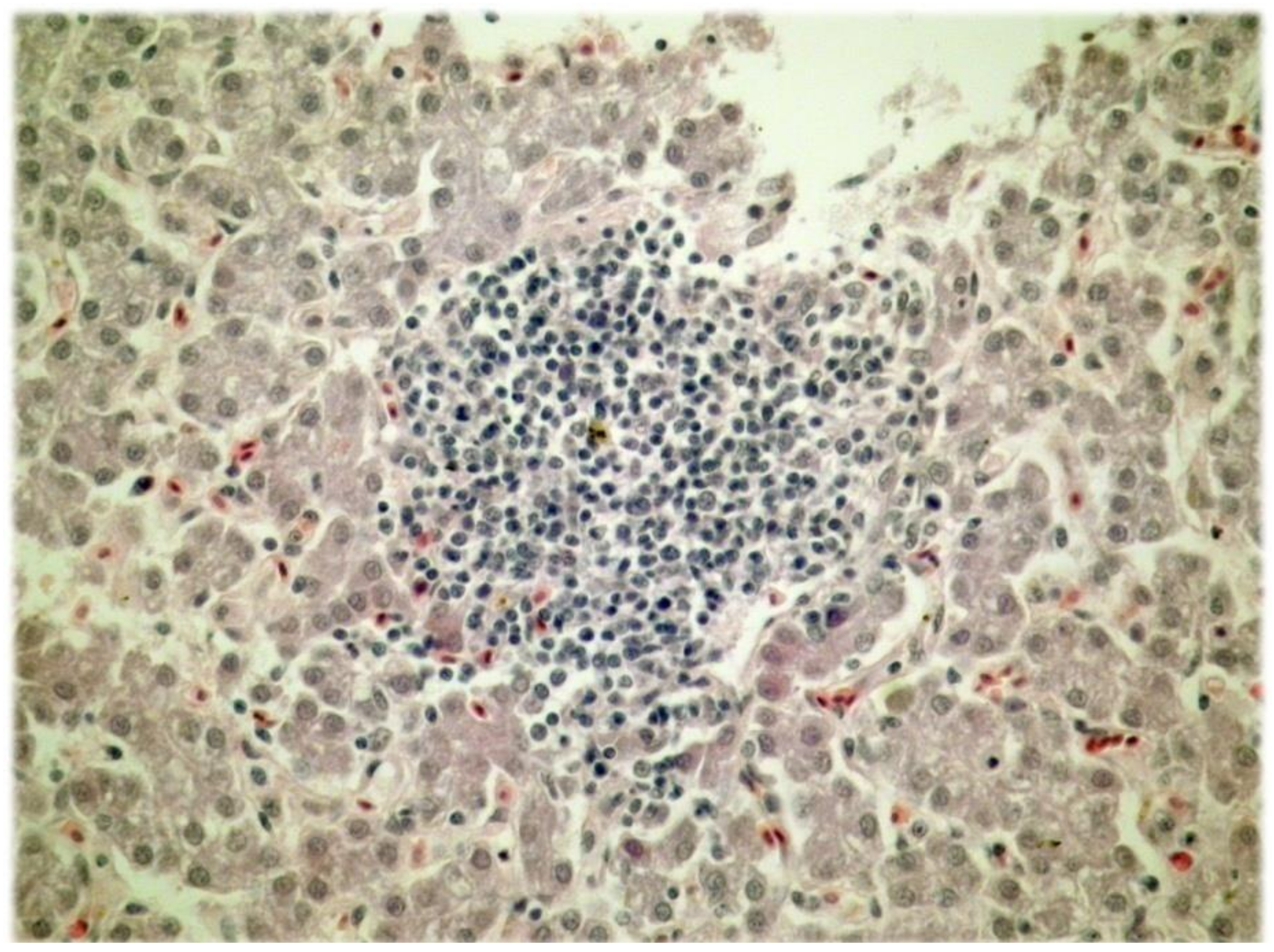 Animals 08 00054 g001