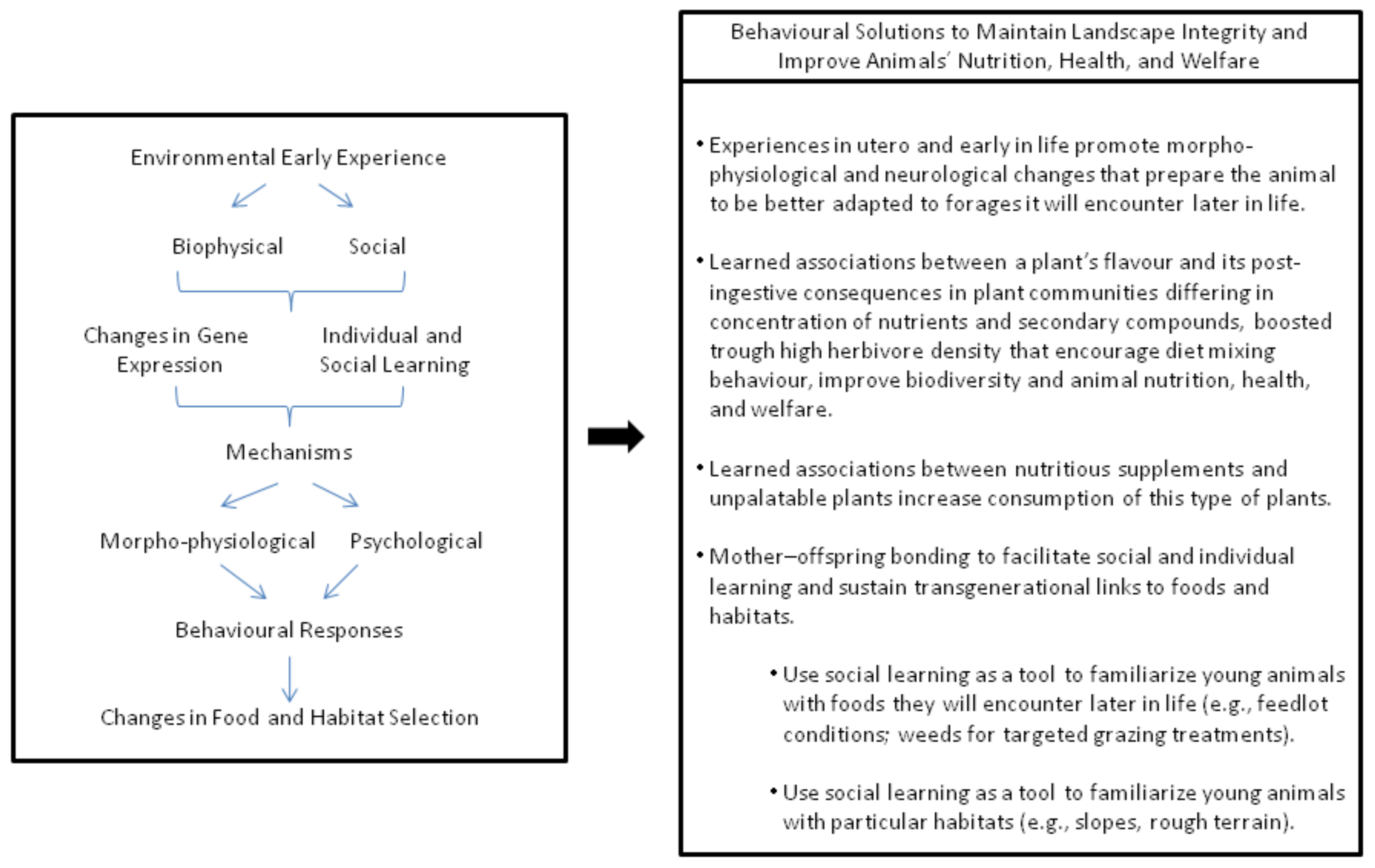 Animals | Free Full-Text | Use of Unpalatable Forages by Ruminants: The Influence of Experience with the Biophysical and Social Environment Animals | Free Full-Text | Use of Unpalatable Forages by Ruminants: The Influence of Experience with the Biophysical and Social Environment