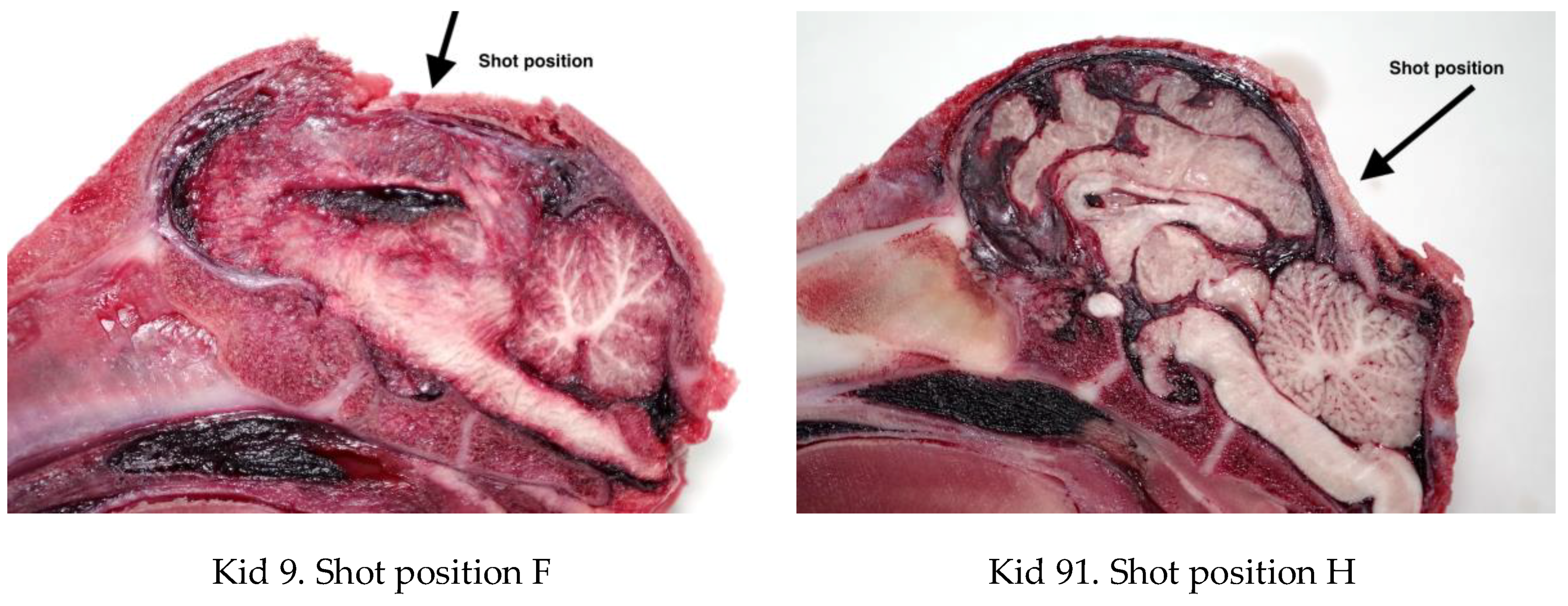 Animals 08 00058 g009