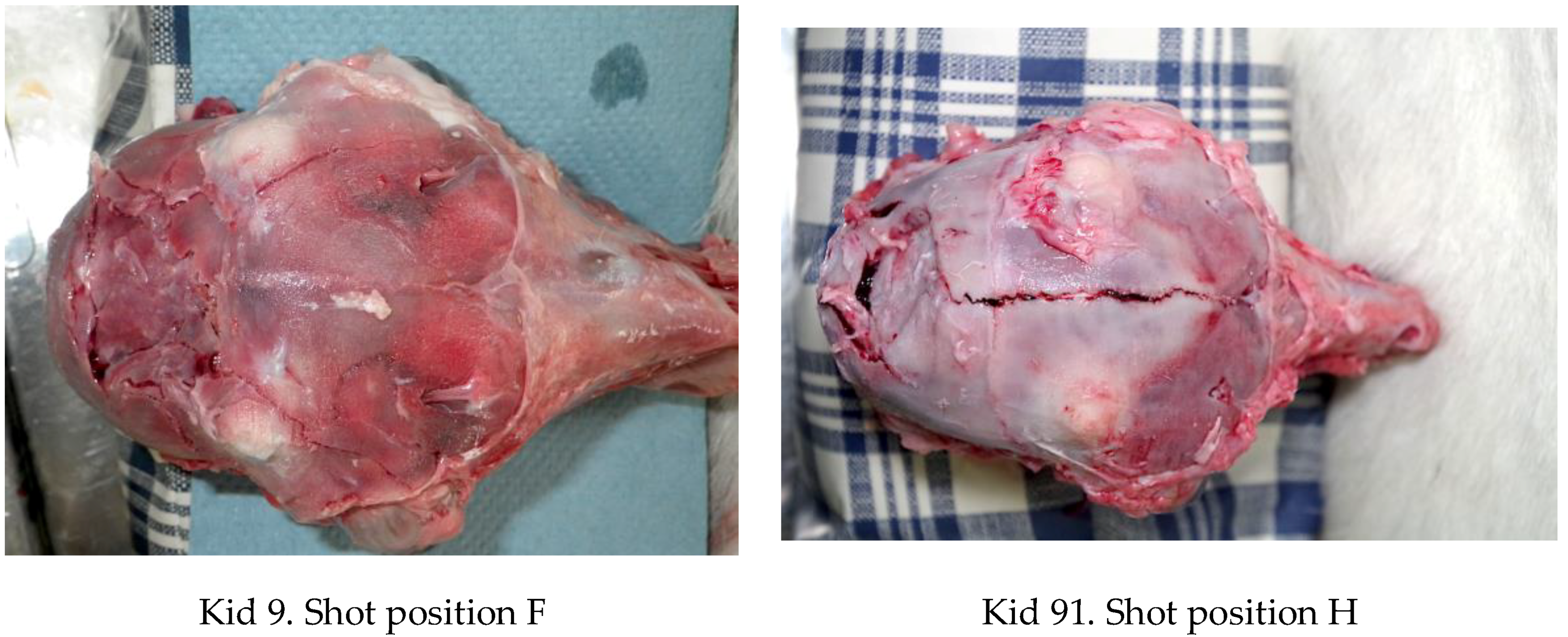 Animals 08 00058 g010