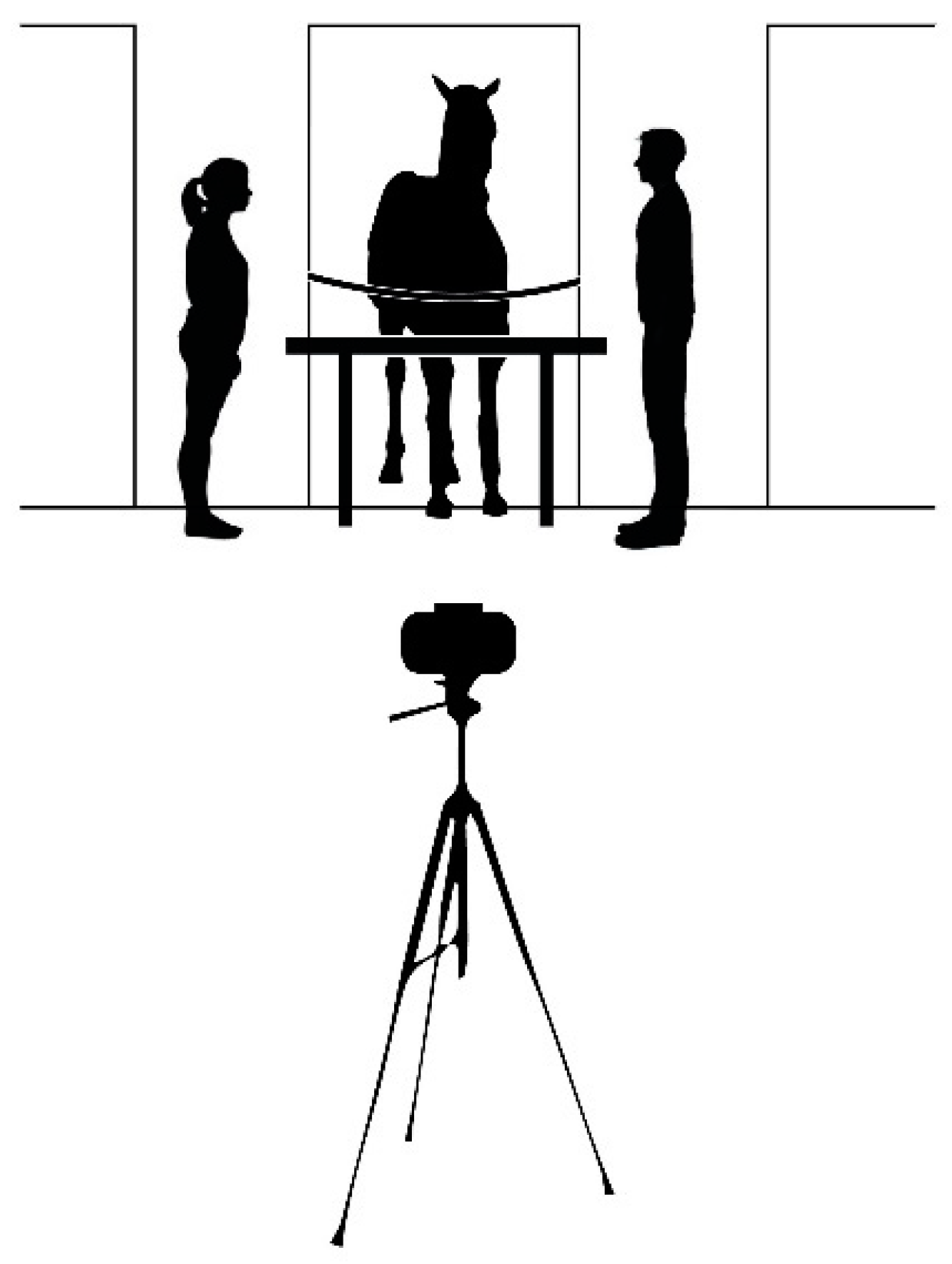 Animals 08 00120 g001