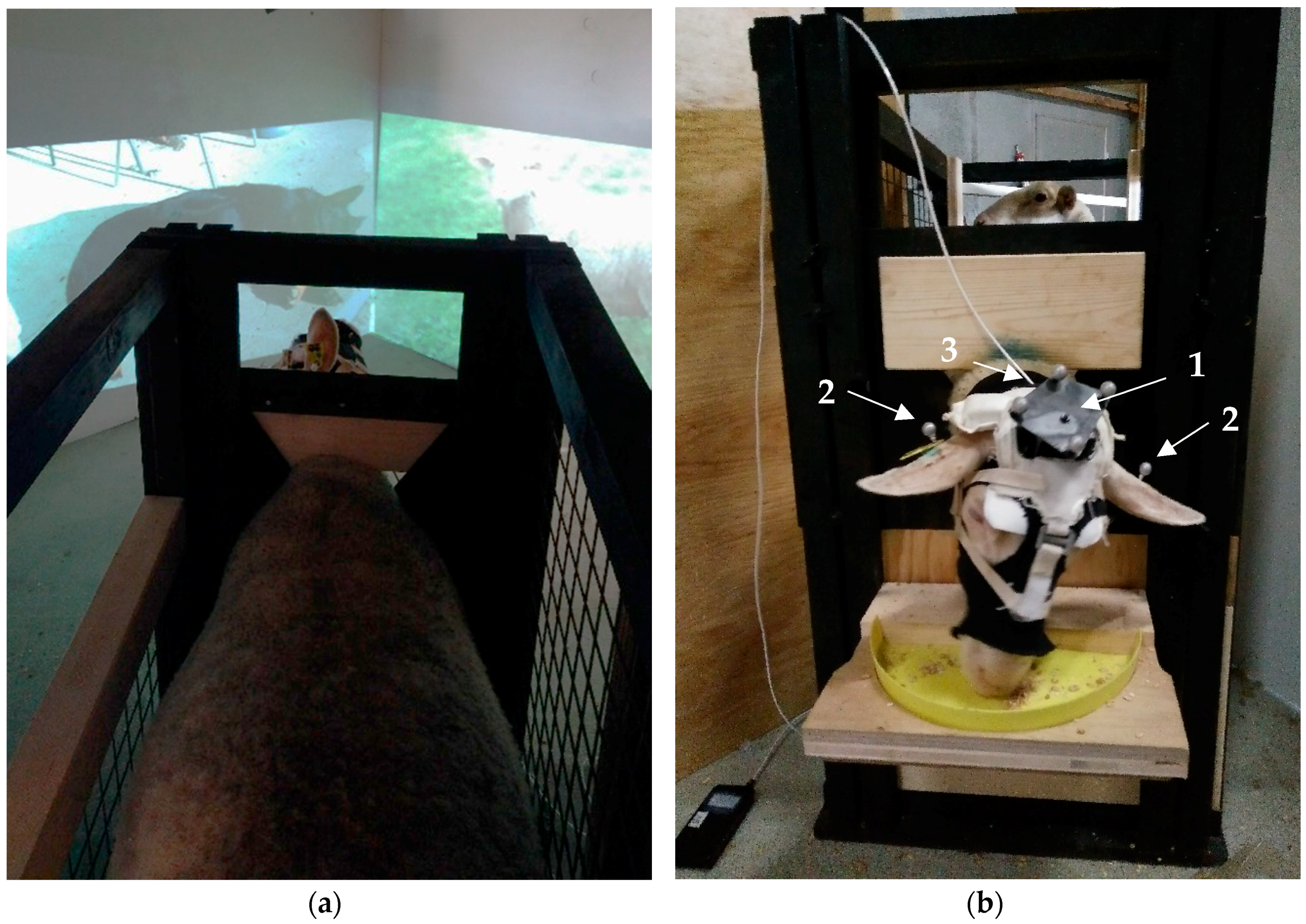 Animals 08 00121 g002 Animals 08 00121 g002