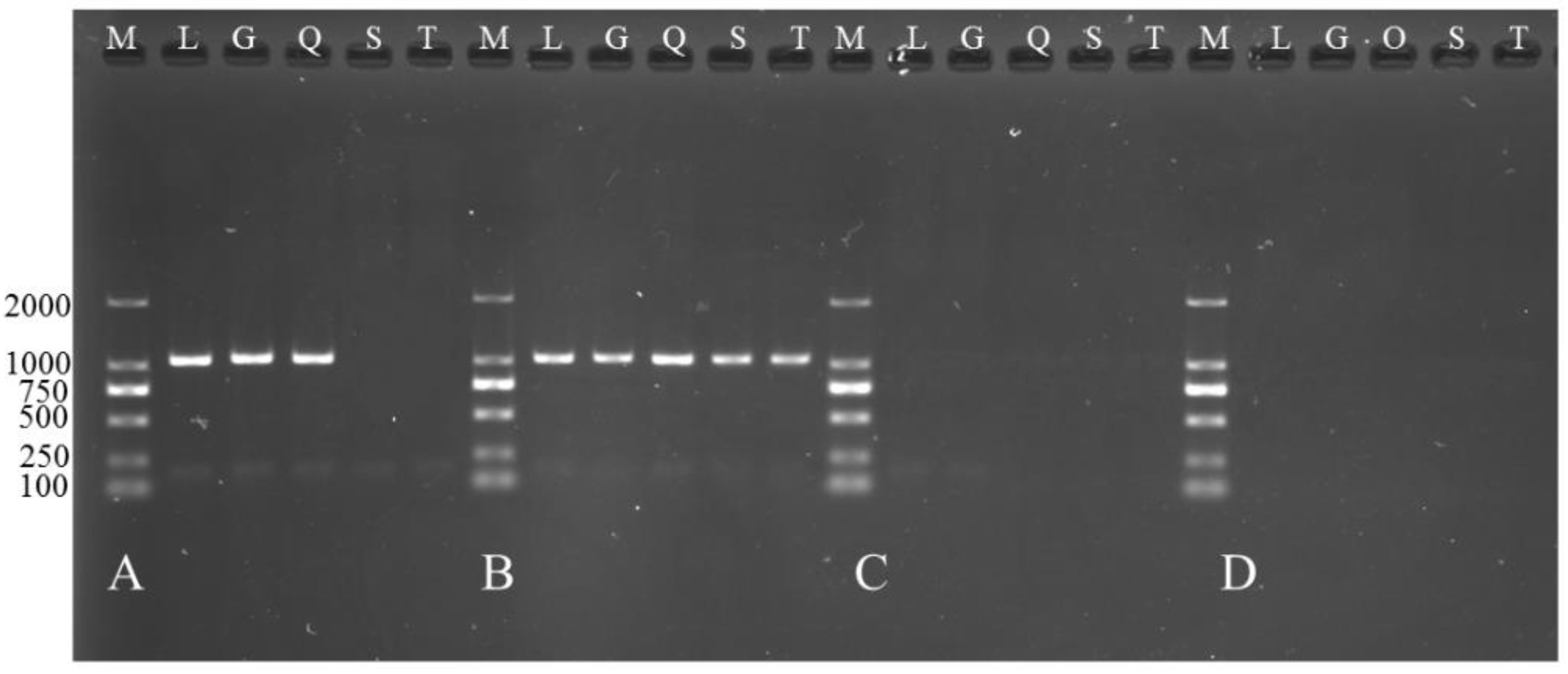 Animals 08 00127 g008 Animals 08 00127 g008