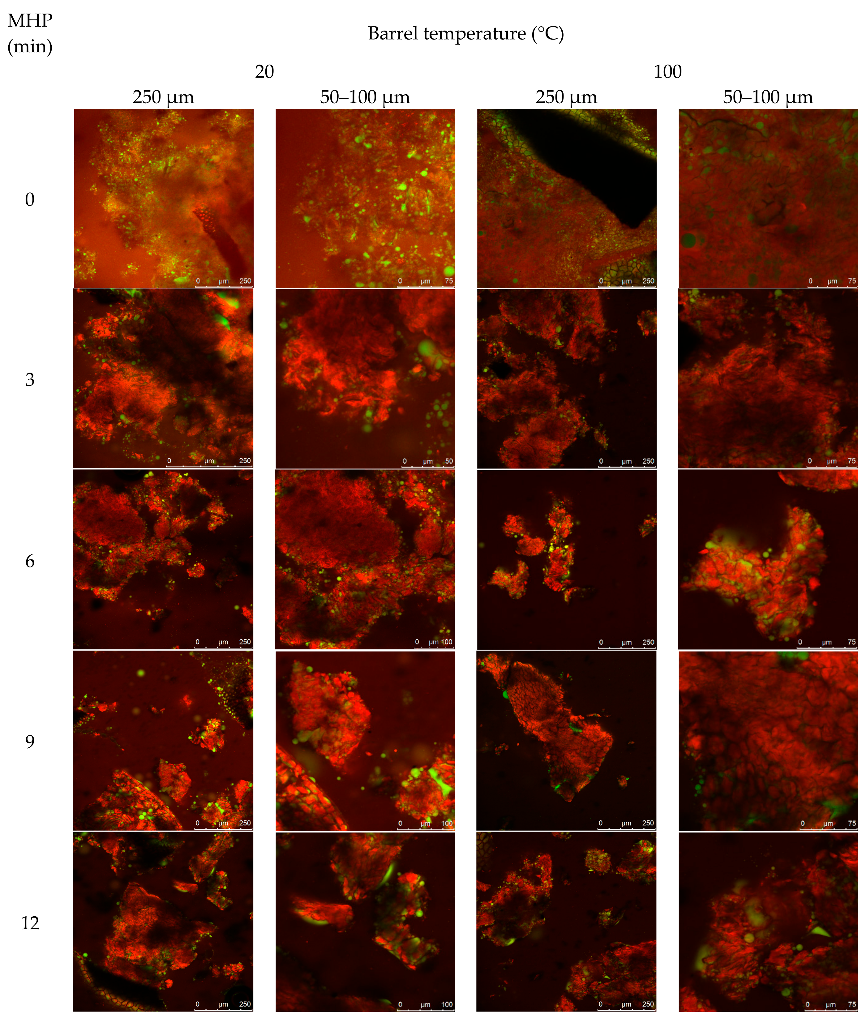 Animals 08 00147 g0a2