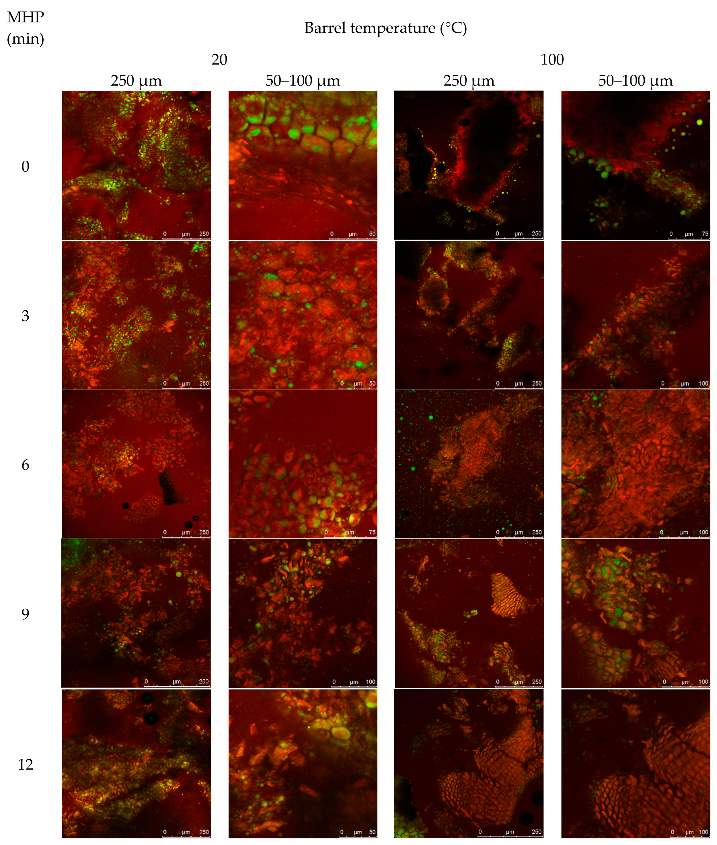 Animals 08 00147 g0a3
