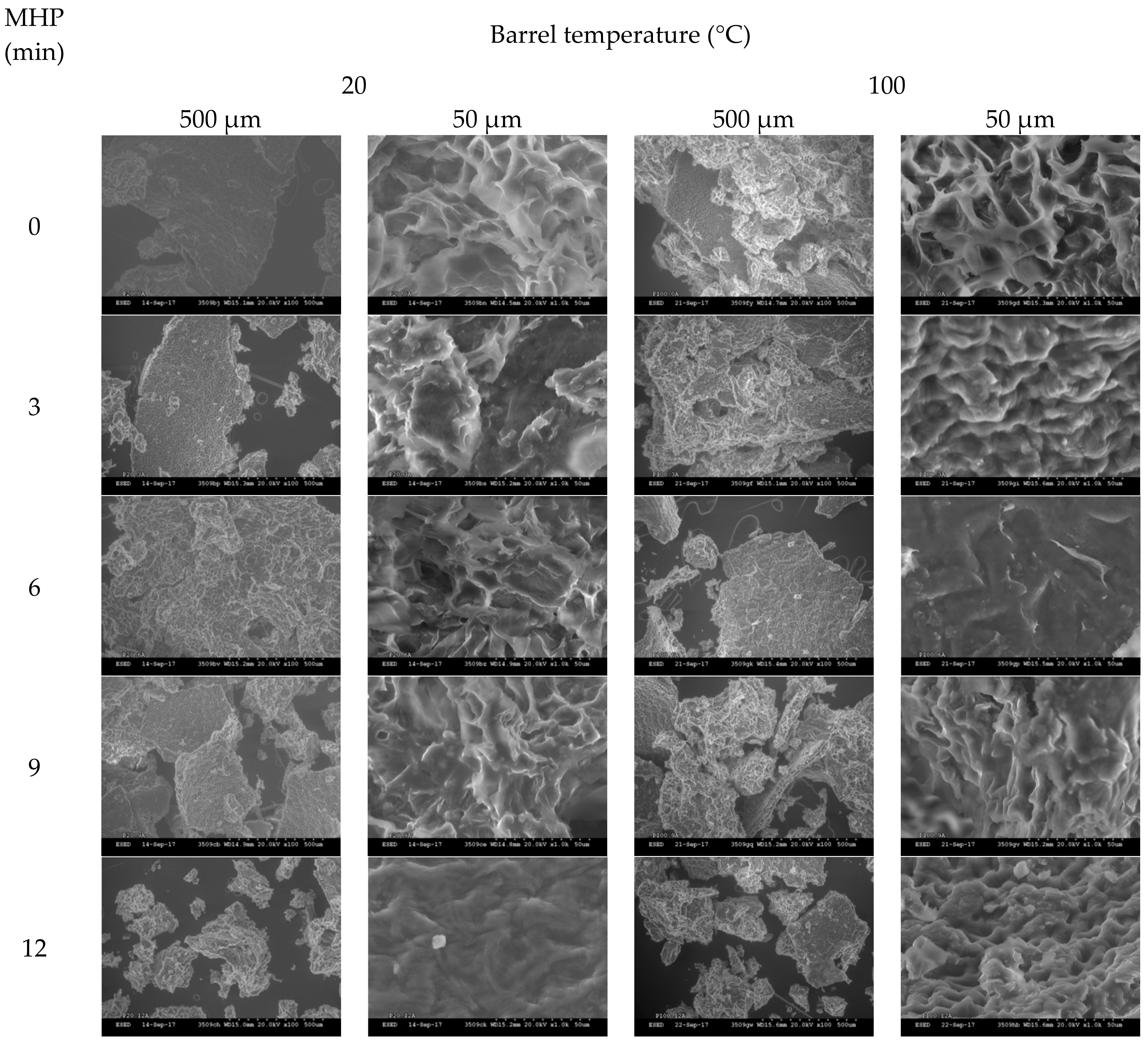 Animals 08 00147 g0a5