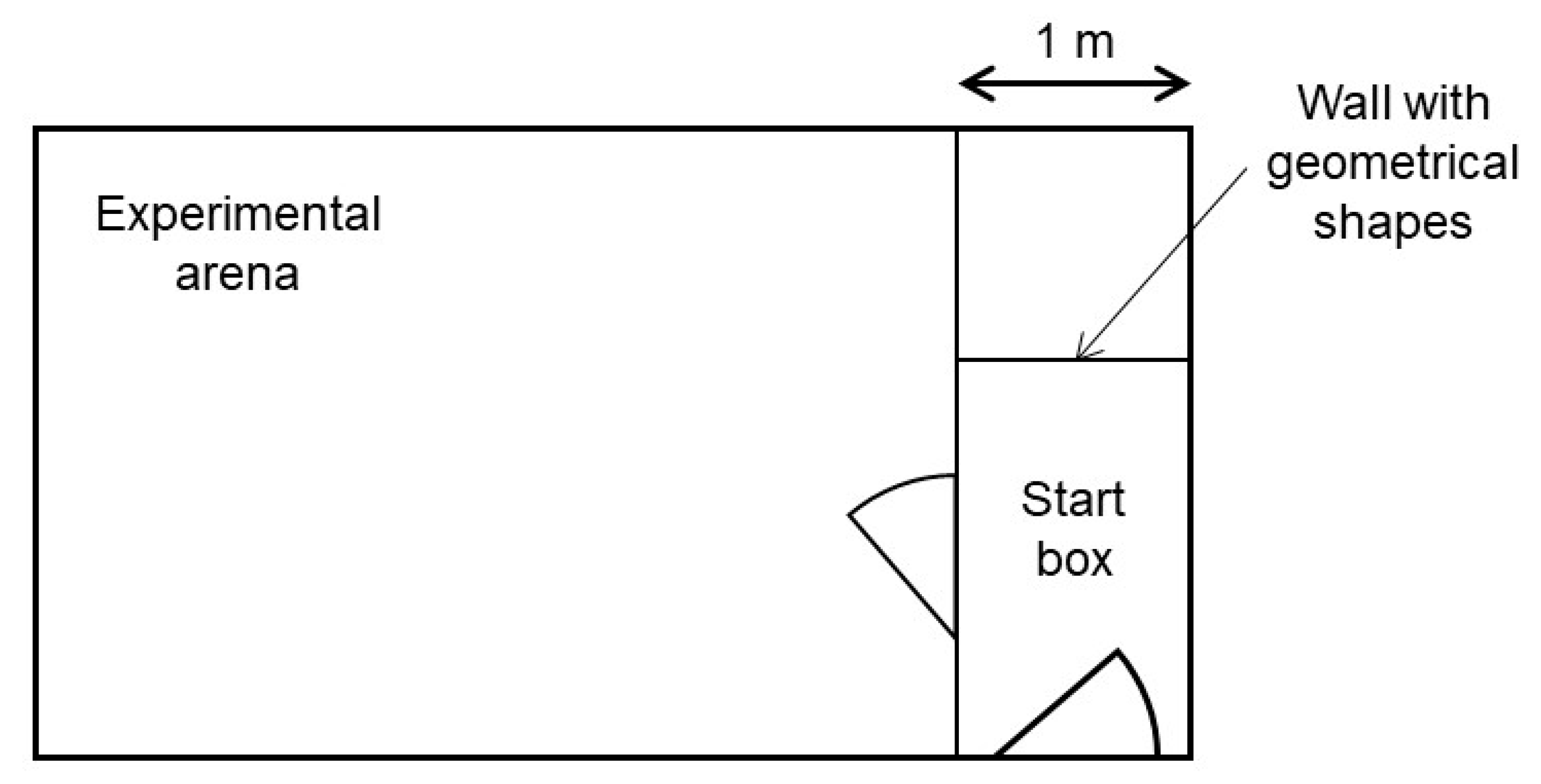 Animals 08 00149 g001