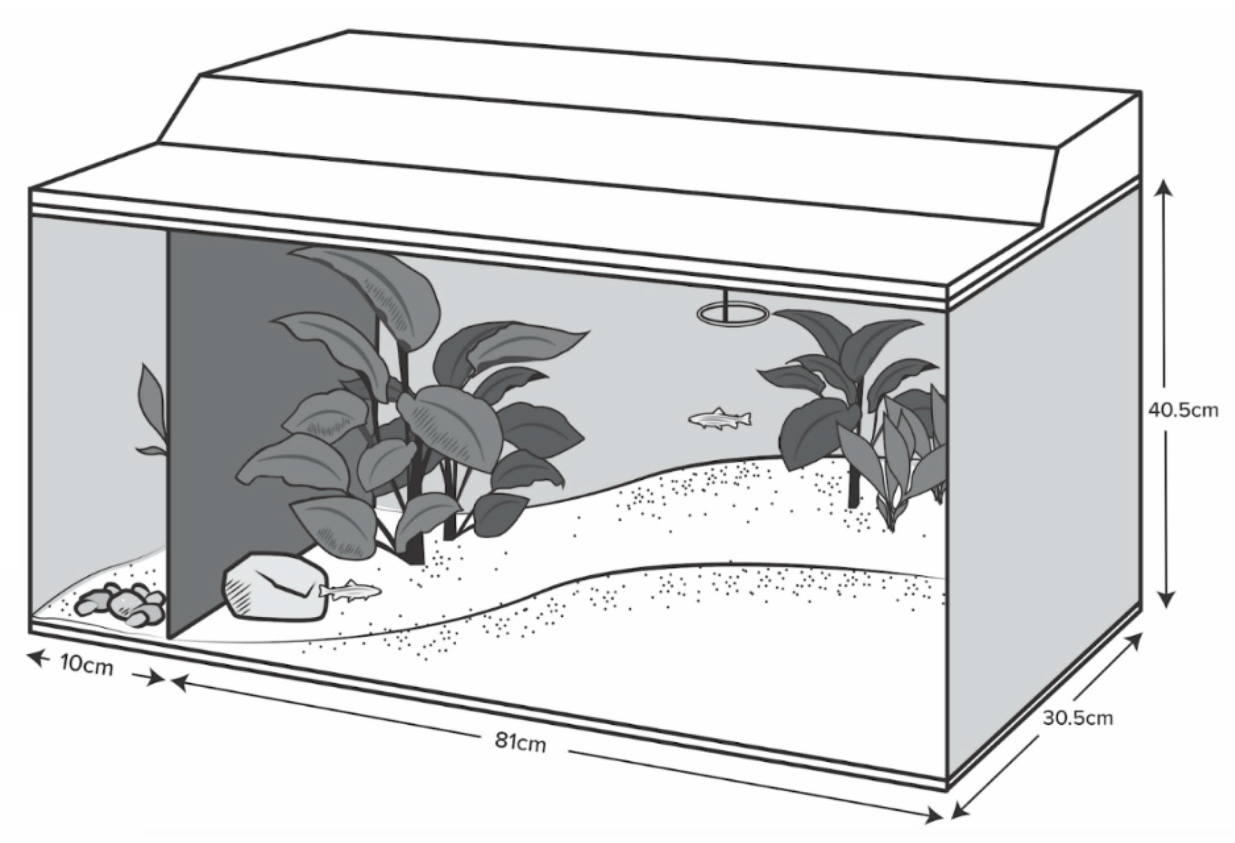 Animals 08 00152 g001