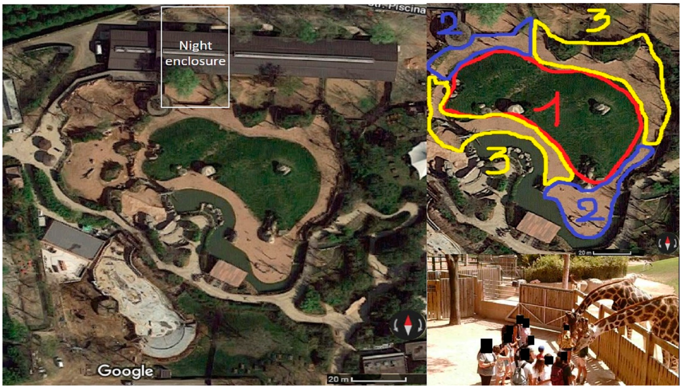 Animals 08 00153 g001