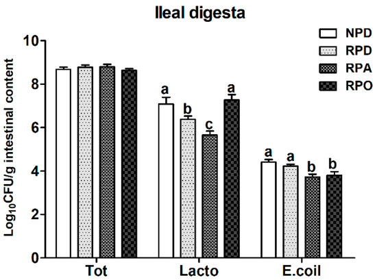 Supplementing Oregano Essential Oil in a Reduced-Protein