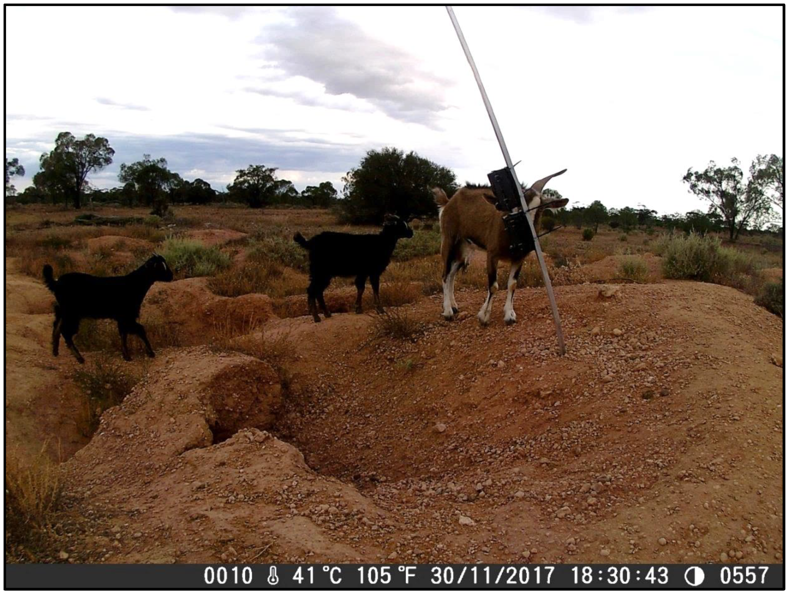 Animals 08 00186 g007 Animals 08 00186 g007