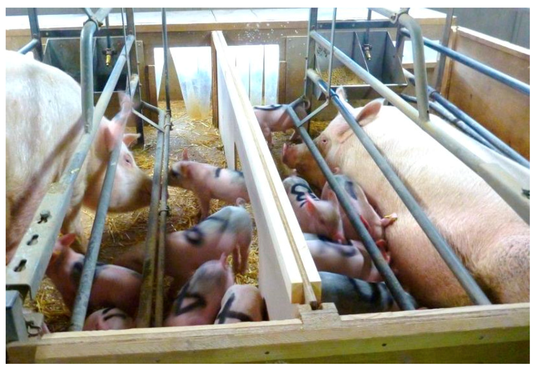 Animals 08 00192 g001 Animals 08 00192 g001