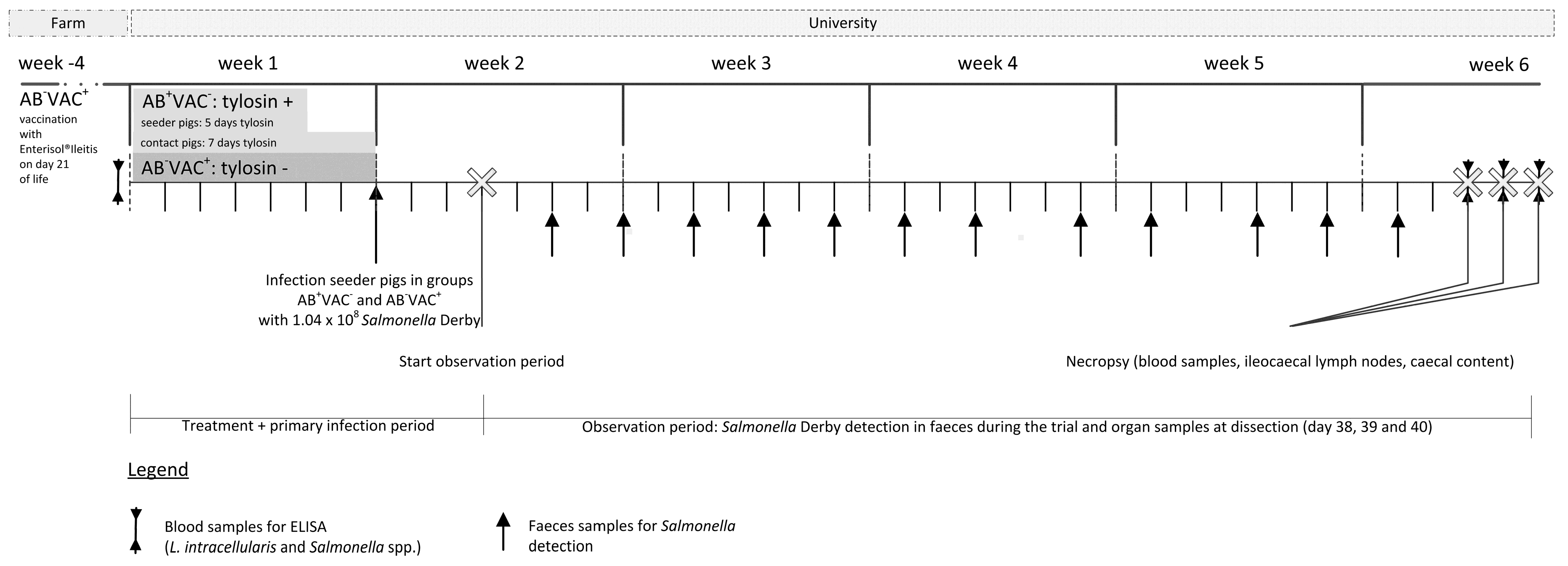 Animals 08 00206 g002 Animals 08 00206 g002