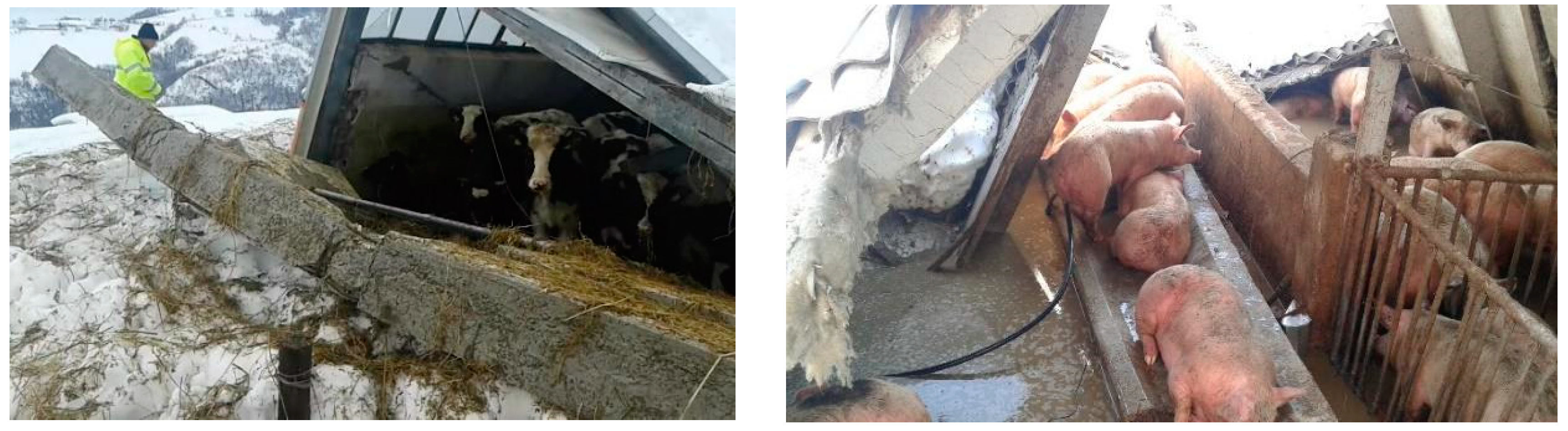 Animals 08 00218 g001a