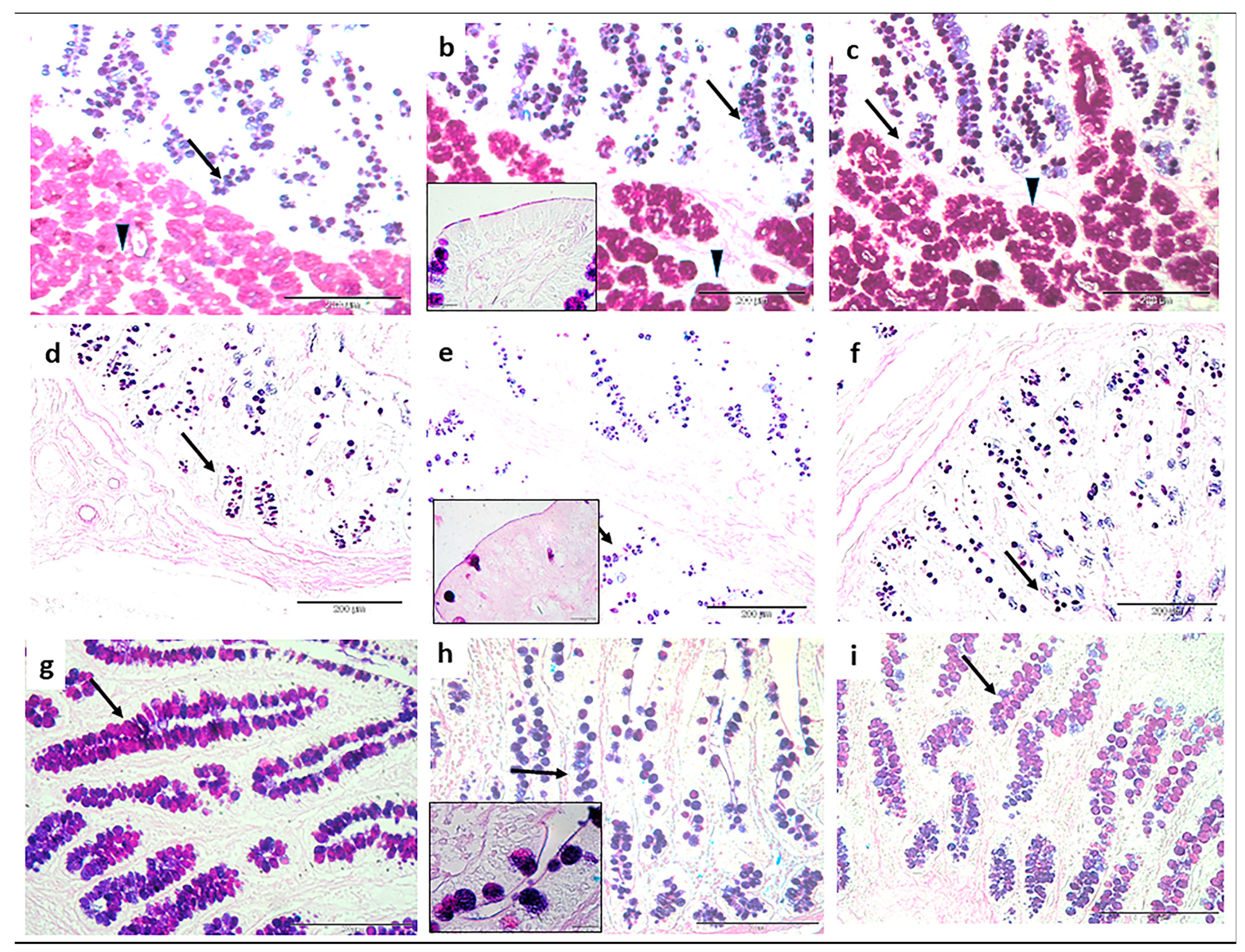 Animals 09 00020 g002 Animals 09 00020 g002