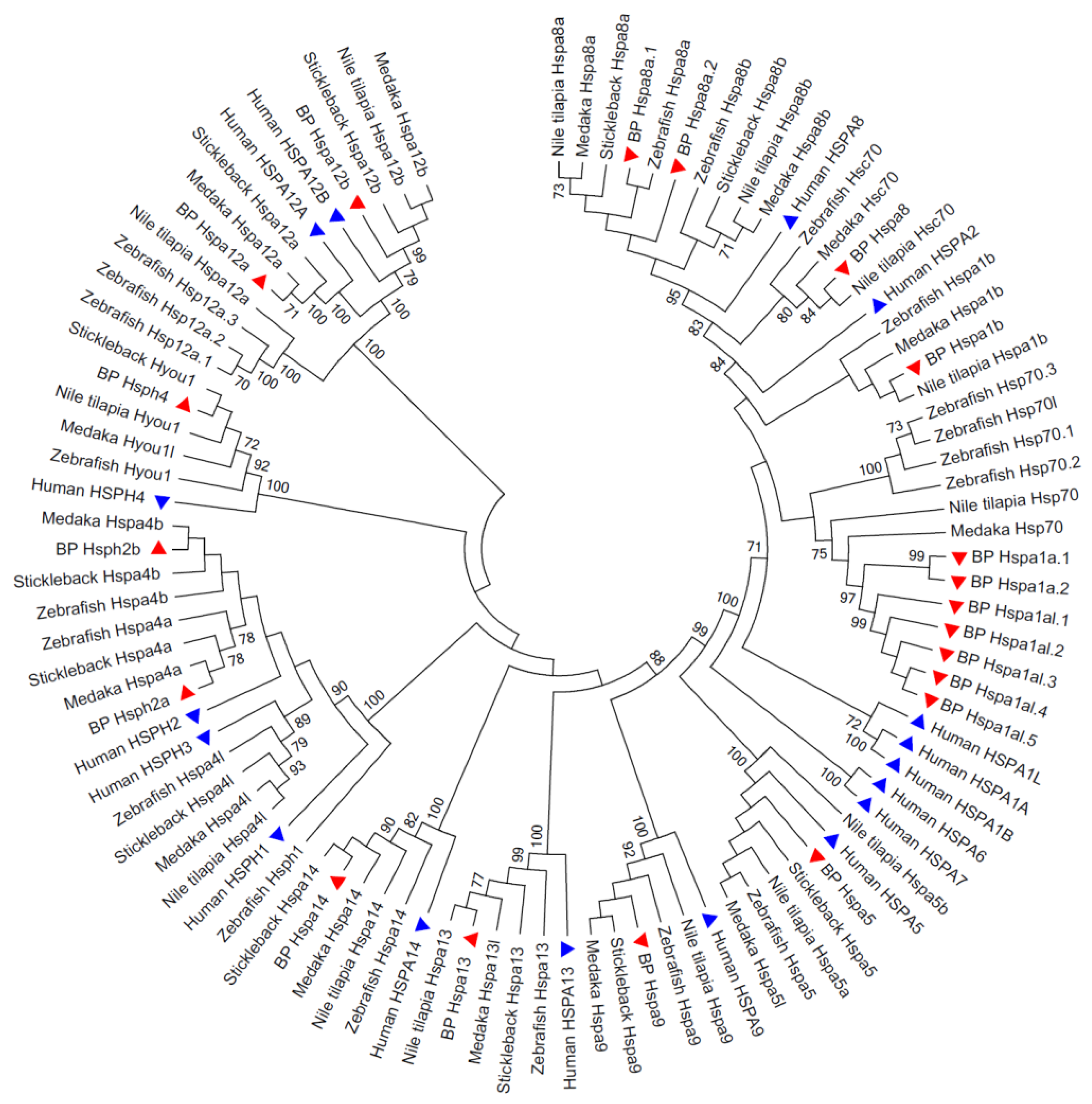 Animals 09 00036 g001 Animals 09 00036 g001