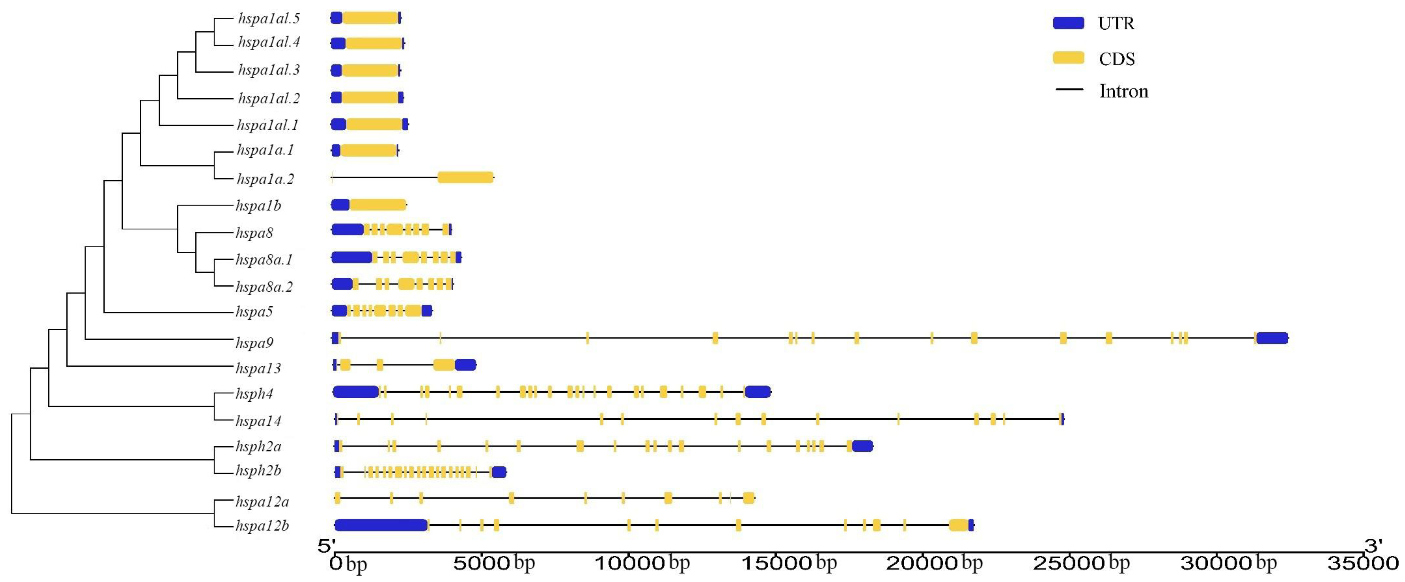 Animals 09 00036 g002 Animals 09 00036 g002