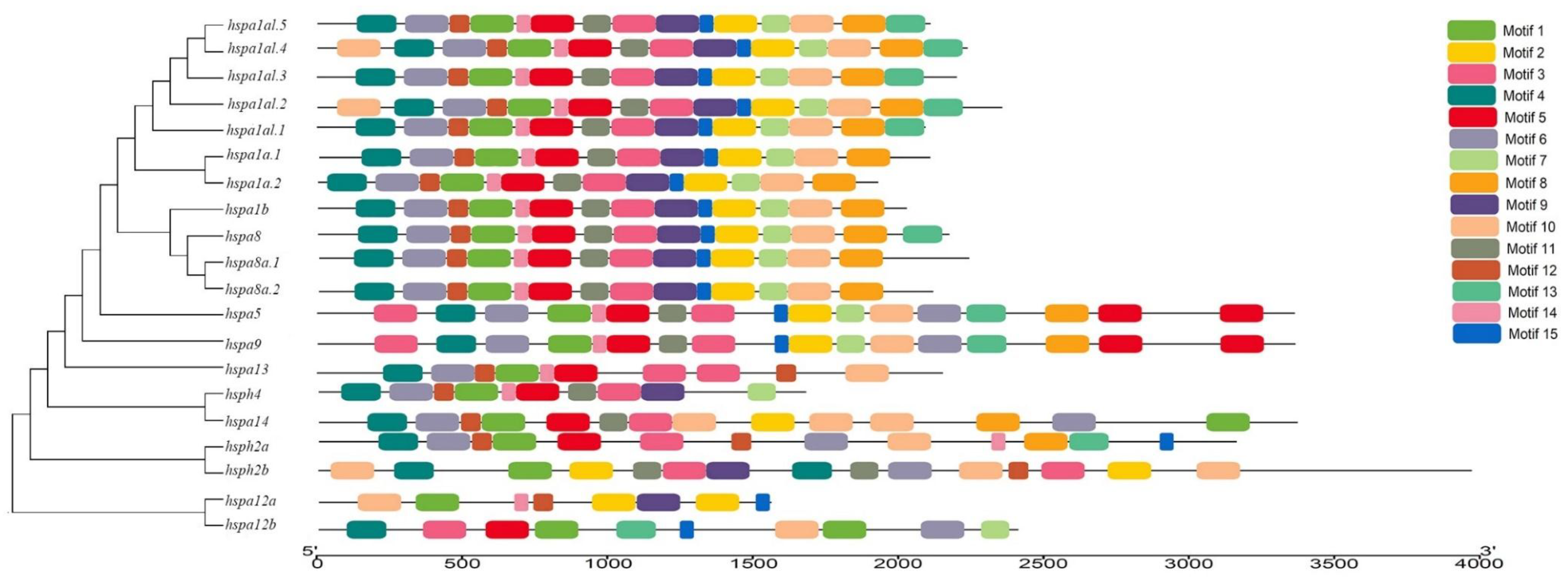 Animals 09 00036 g003 Animals 09 00036 g003