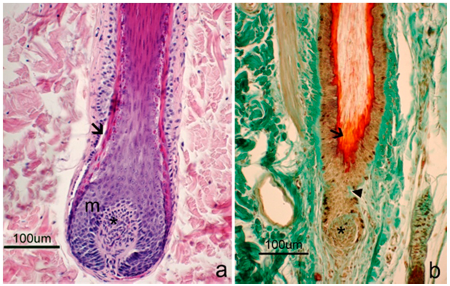 Animals 09 00038 g003 Animals 09 00038 g003