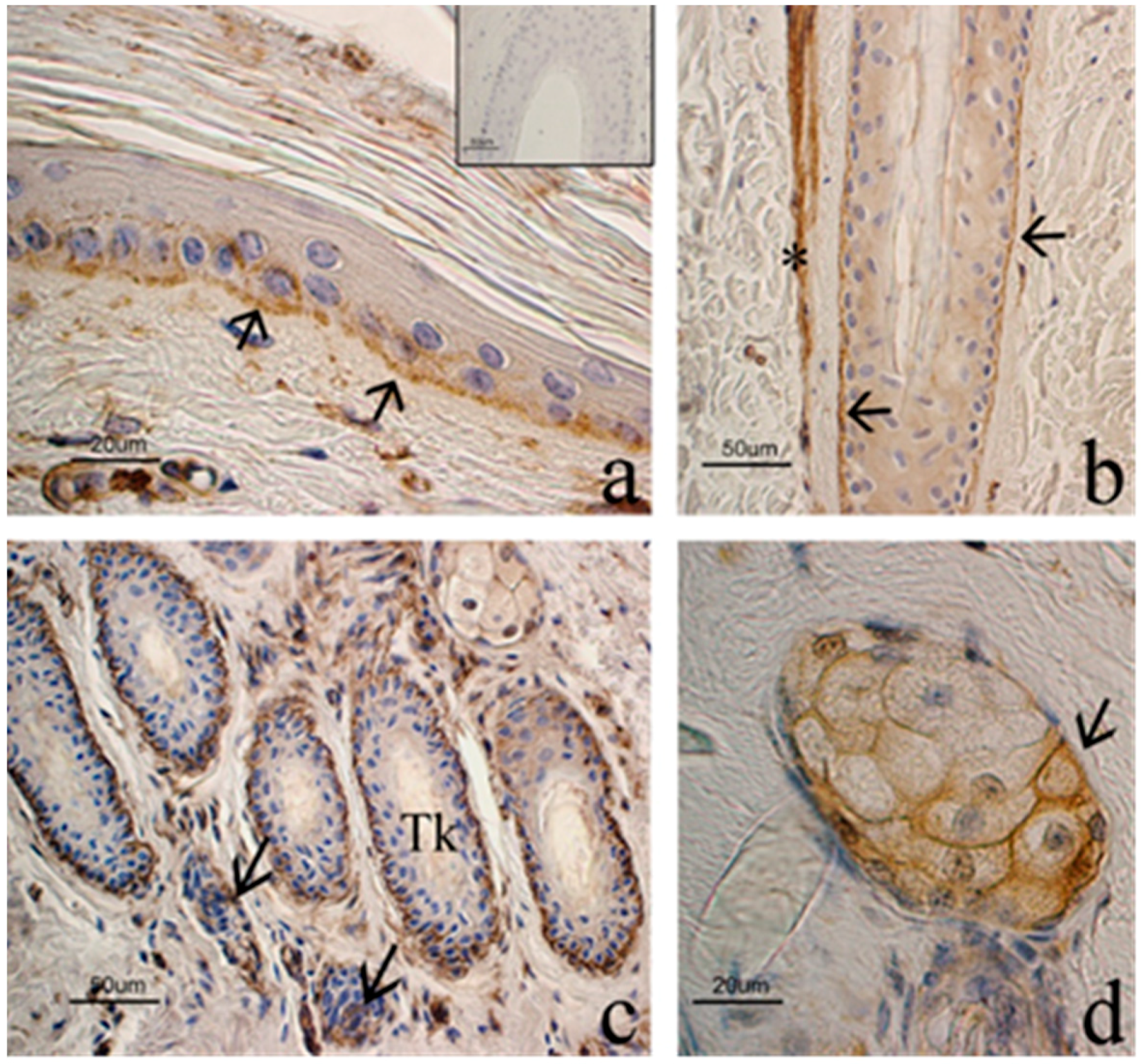 Animals 09 00038 g004 Animals 09 00038 g004