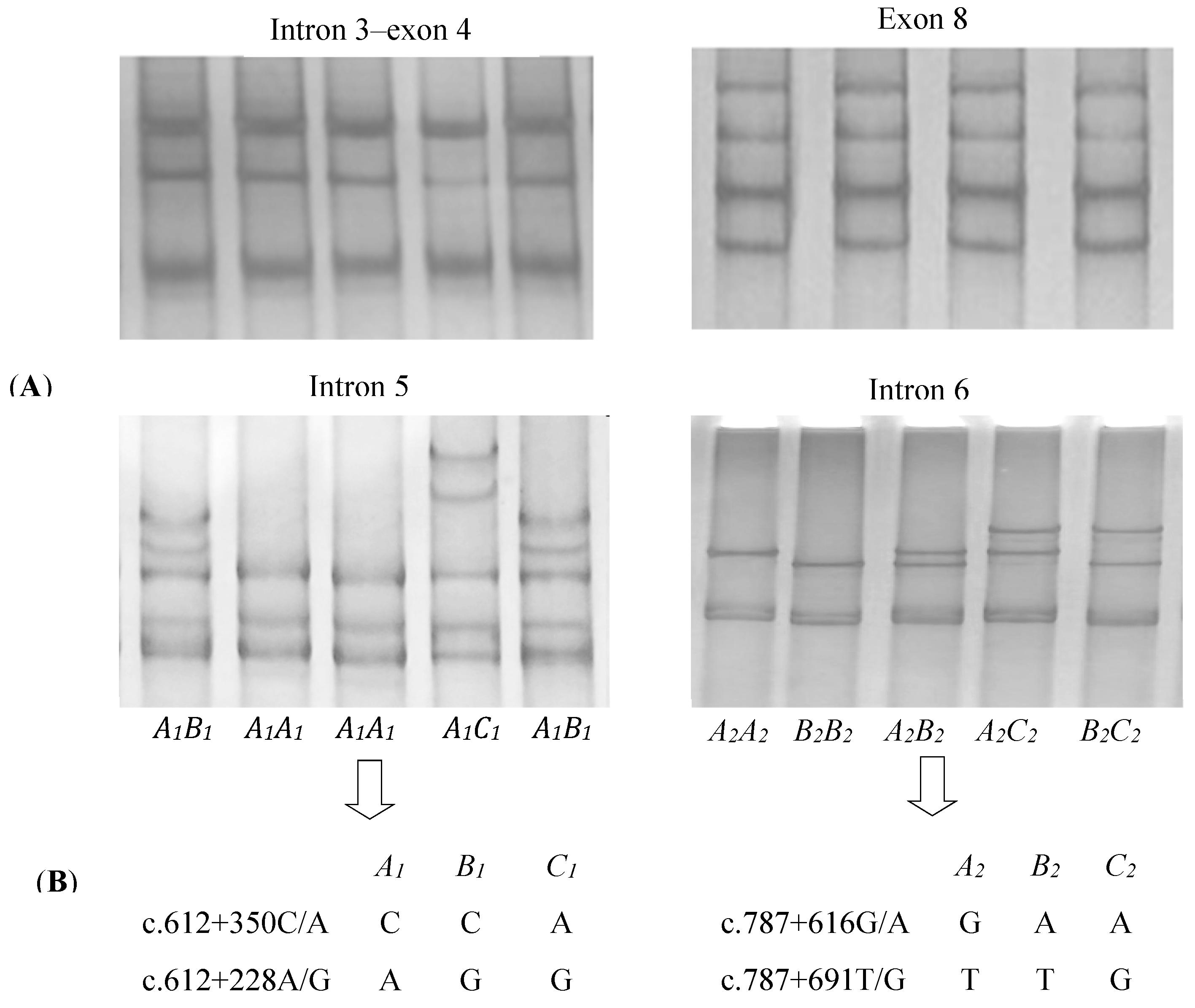 Animals 09 00061 g001 Animals 09 00061 g001