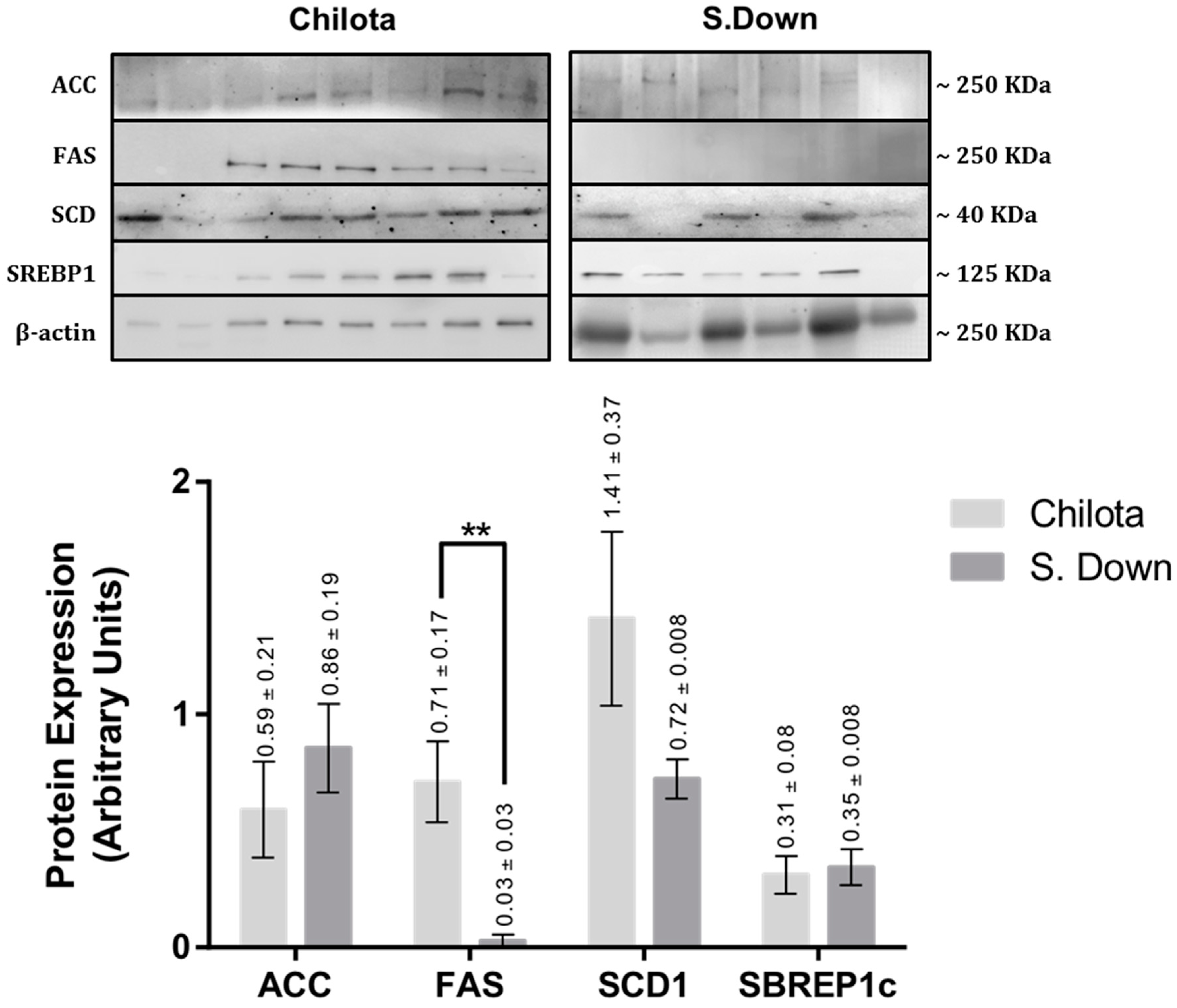 Animals 09 00064 g001 Animals 09 00064 g001