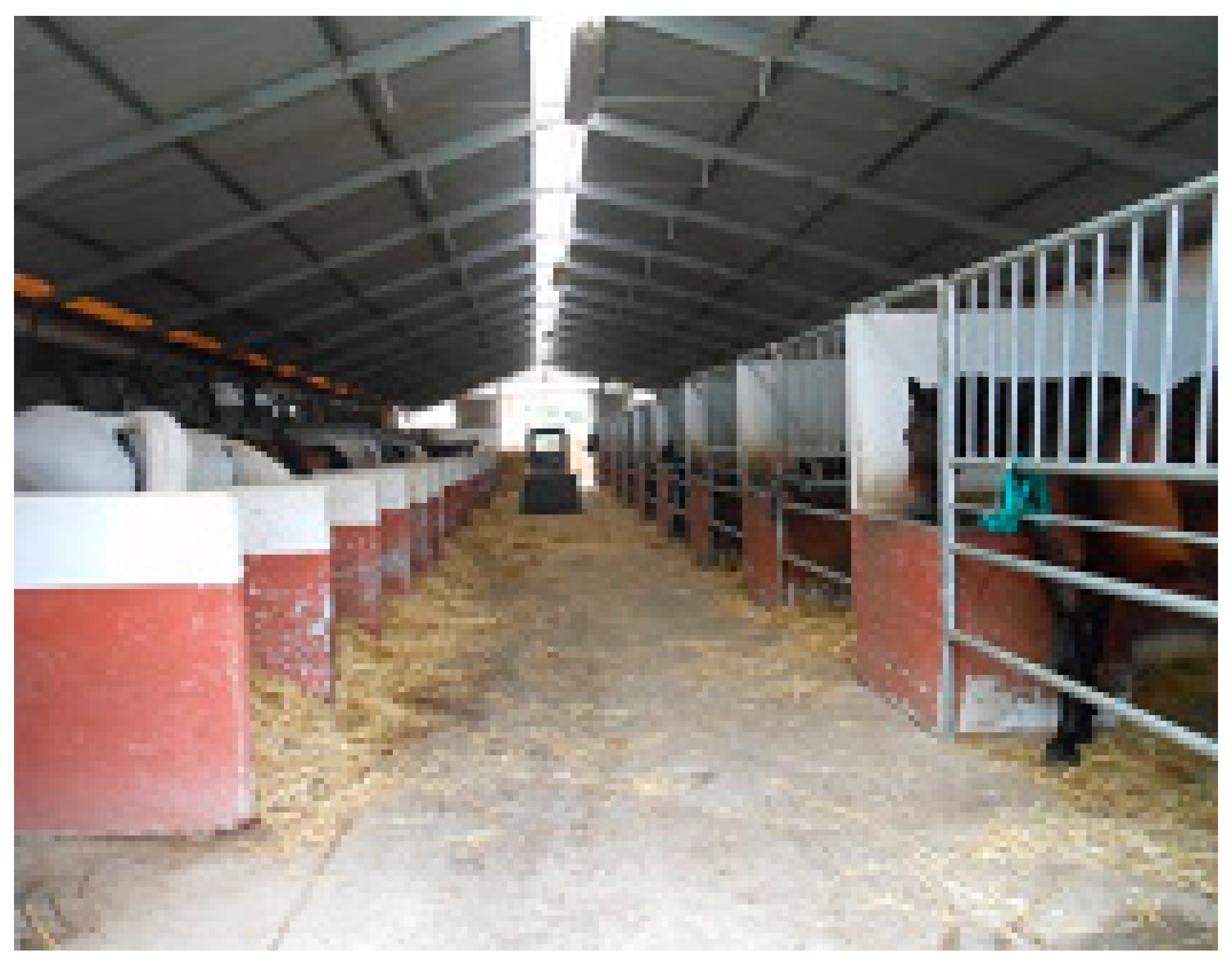 Animals Free Full Text The Use Of Infrared Thermography Irt