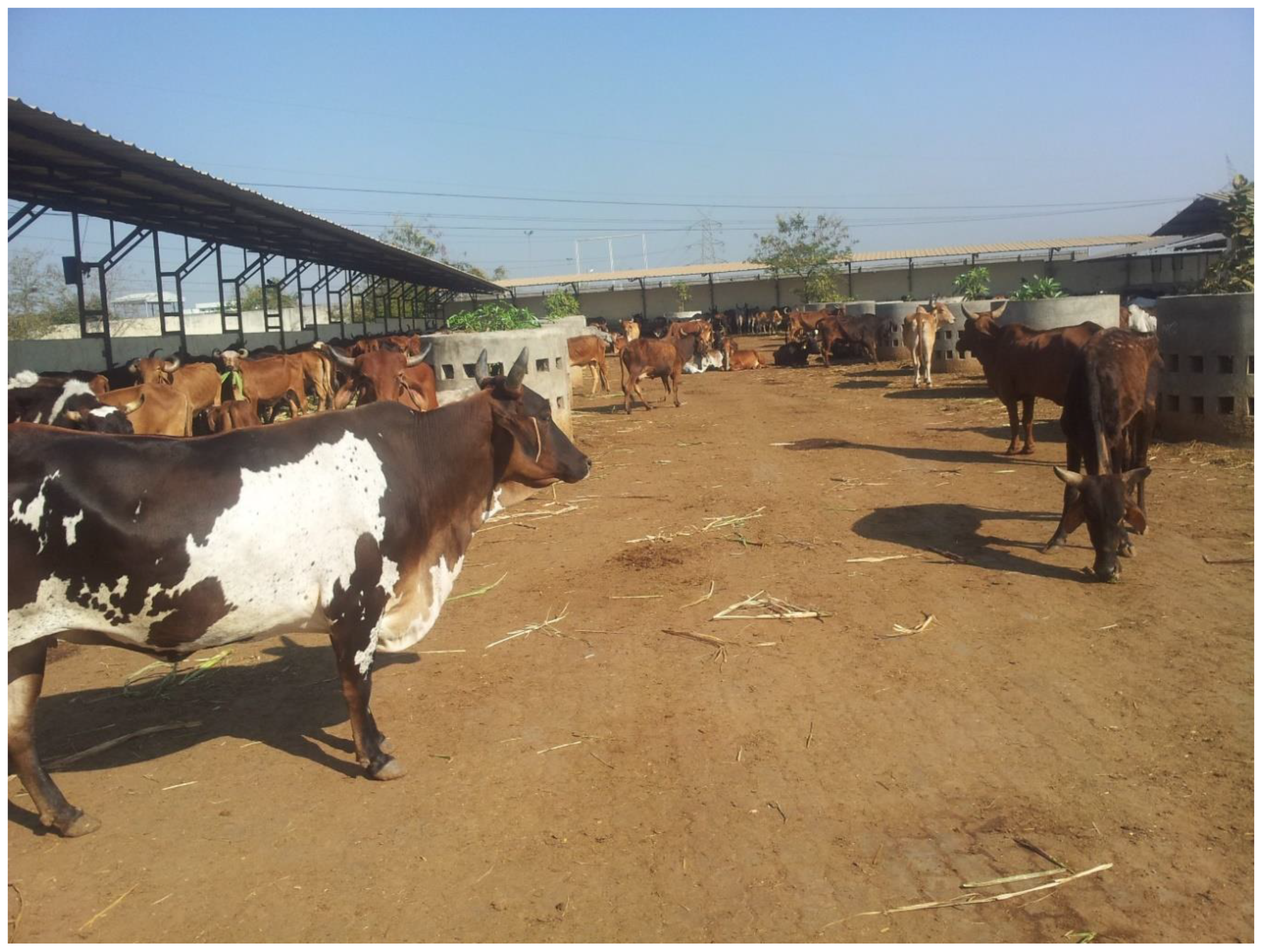 Animals 09 00120 g001 Animals 09 00120 g001